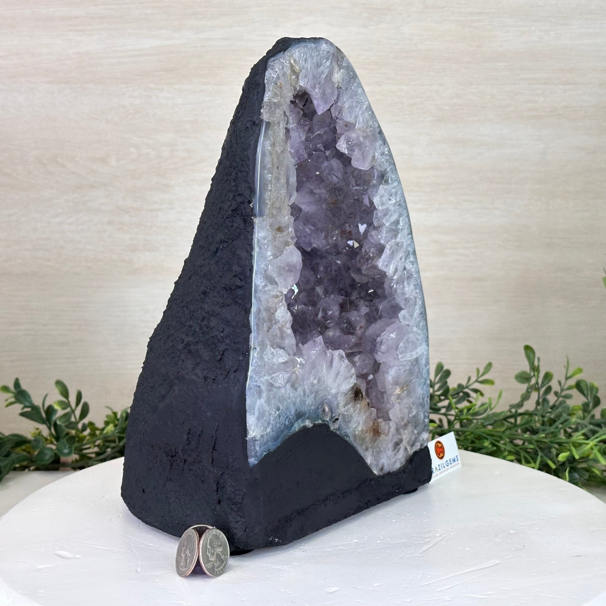 Standard Plus Quality Amethyst Cathedral, 16.1 lbs & 10.9" Tall #5601 - 1246 - Brazil GemsBrazil GemsStandard Plus Quality Amethyst Cathedral, 16.1 lbs & 10.9" Tall #5601 - 1246Cathedrals5601 - 1246