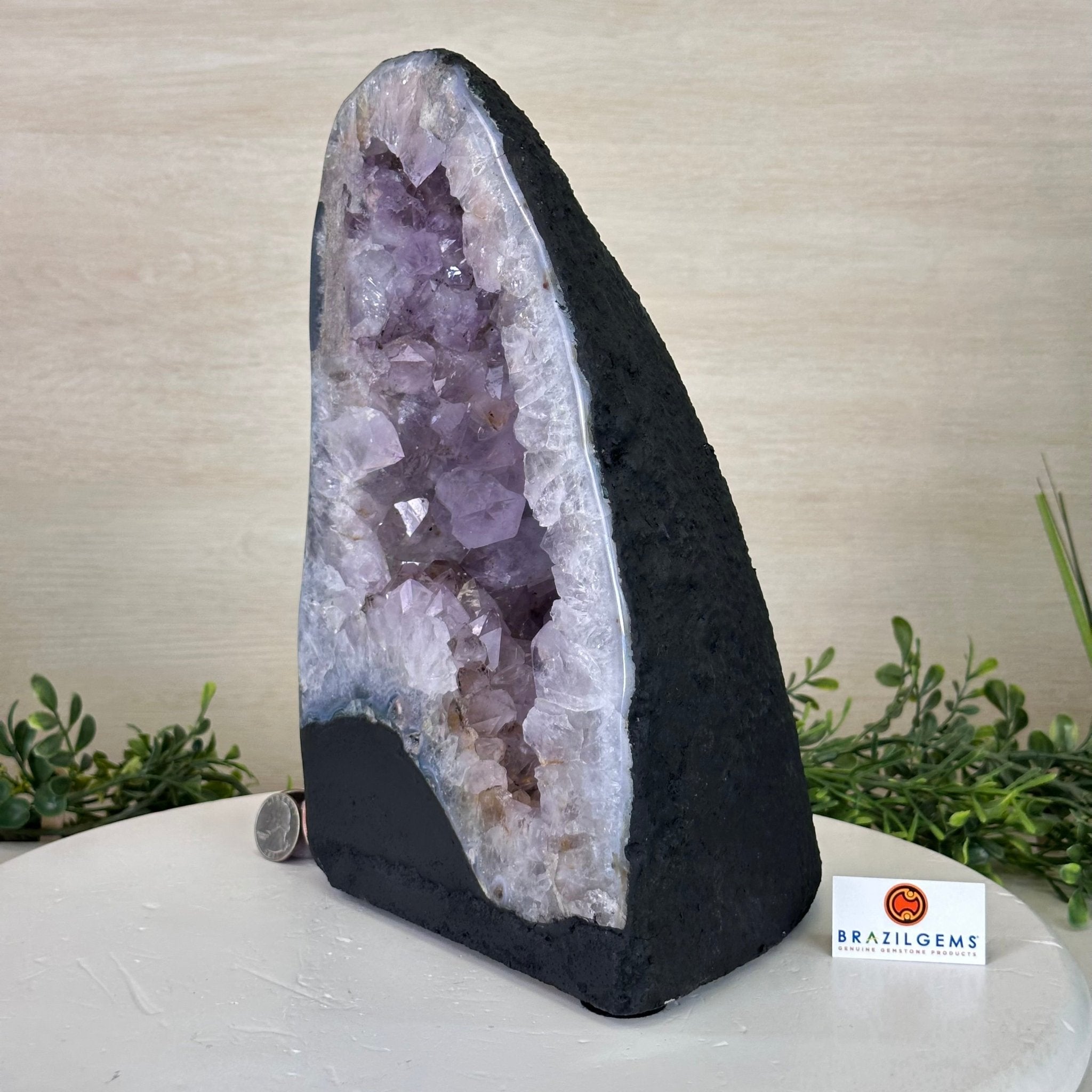 Standard Plus Quality Amethyst Cathedral, 16.1 lbs & 10.9" Tall #5601 - 1246 - Brazil GemsBrazil GemsStandard Plus Quality Amethyst Cathedral, 16.1 lbs & 10.9" Tall #5601 - 1246Cathedrals5601 - 1246