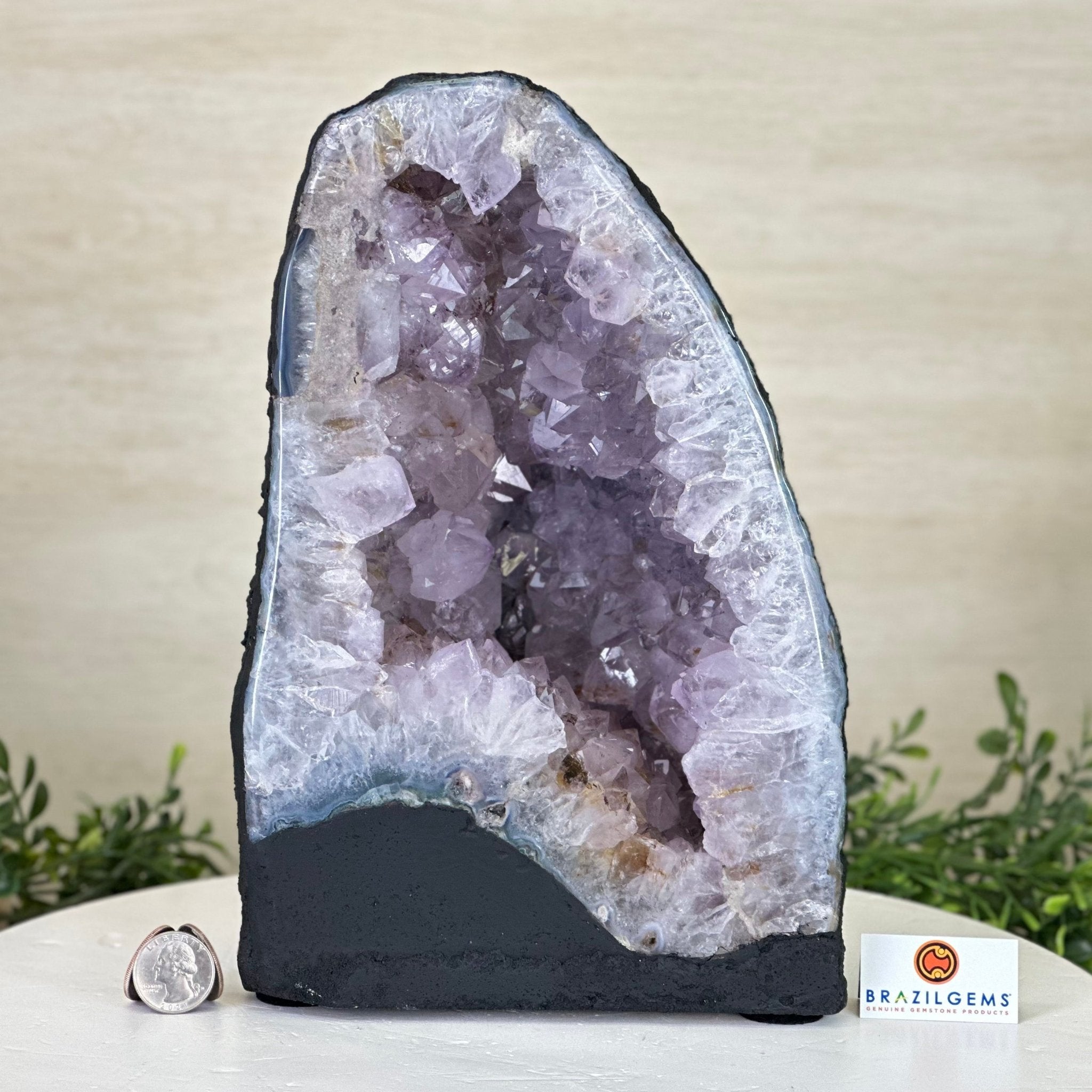 Standard Plus Quality Amethyst Cathedral, 16.1 lbs & 10.9" Tall #5601 - 1246 - Brazil GemsBrazil GemsStandard Plus Quality Amethyst Cathedral, 16.1 lbs & 10.9" Tall #5601 - 1246Cathedrals5601 - 1246