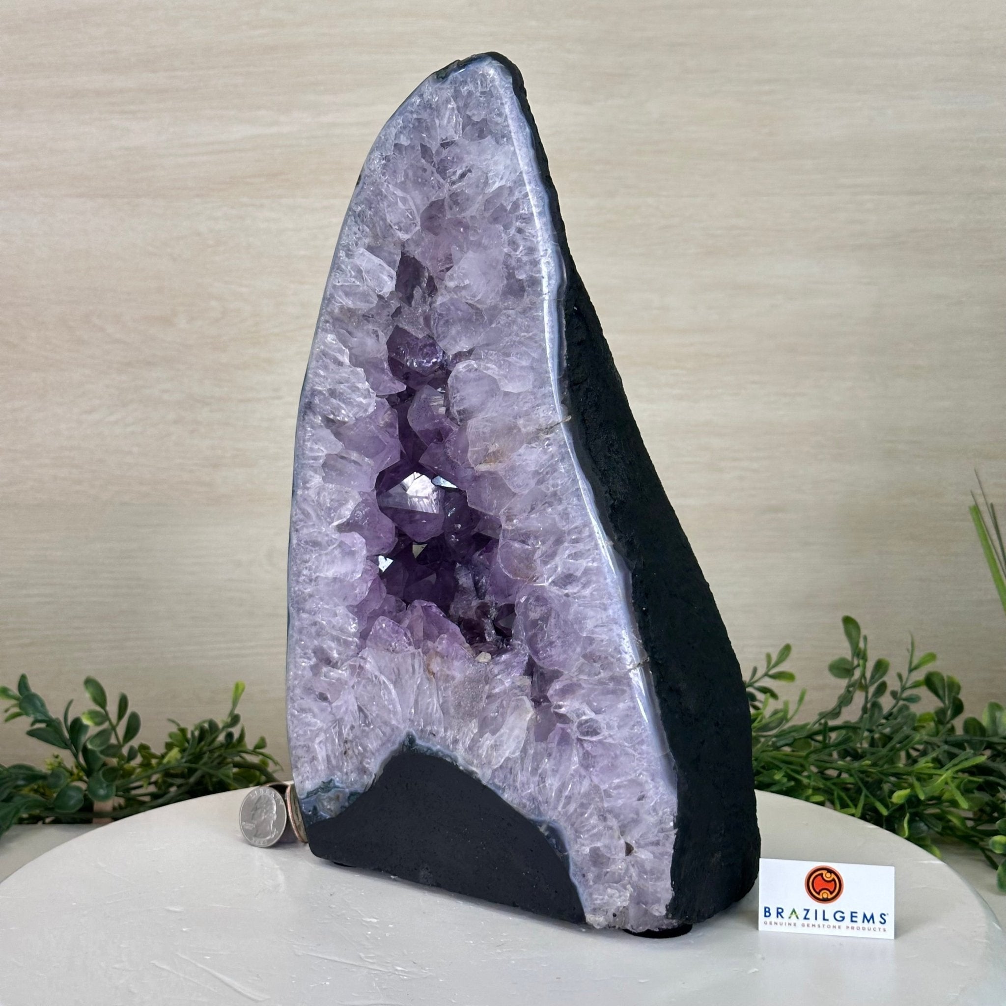 Standard Plus Quality Amethyst Cathedral, 16.6 lbs & 12.1" Tall #5601 - 1247 - Brazil GemsBrazil GemsStandard Plus Quality Amethyst Cathedral, 16.6 lbs & 12.1" Tall #5601 - 1247Cathedrals5601 - 1247