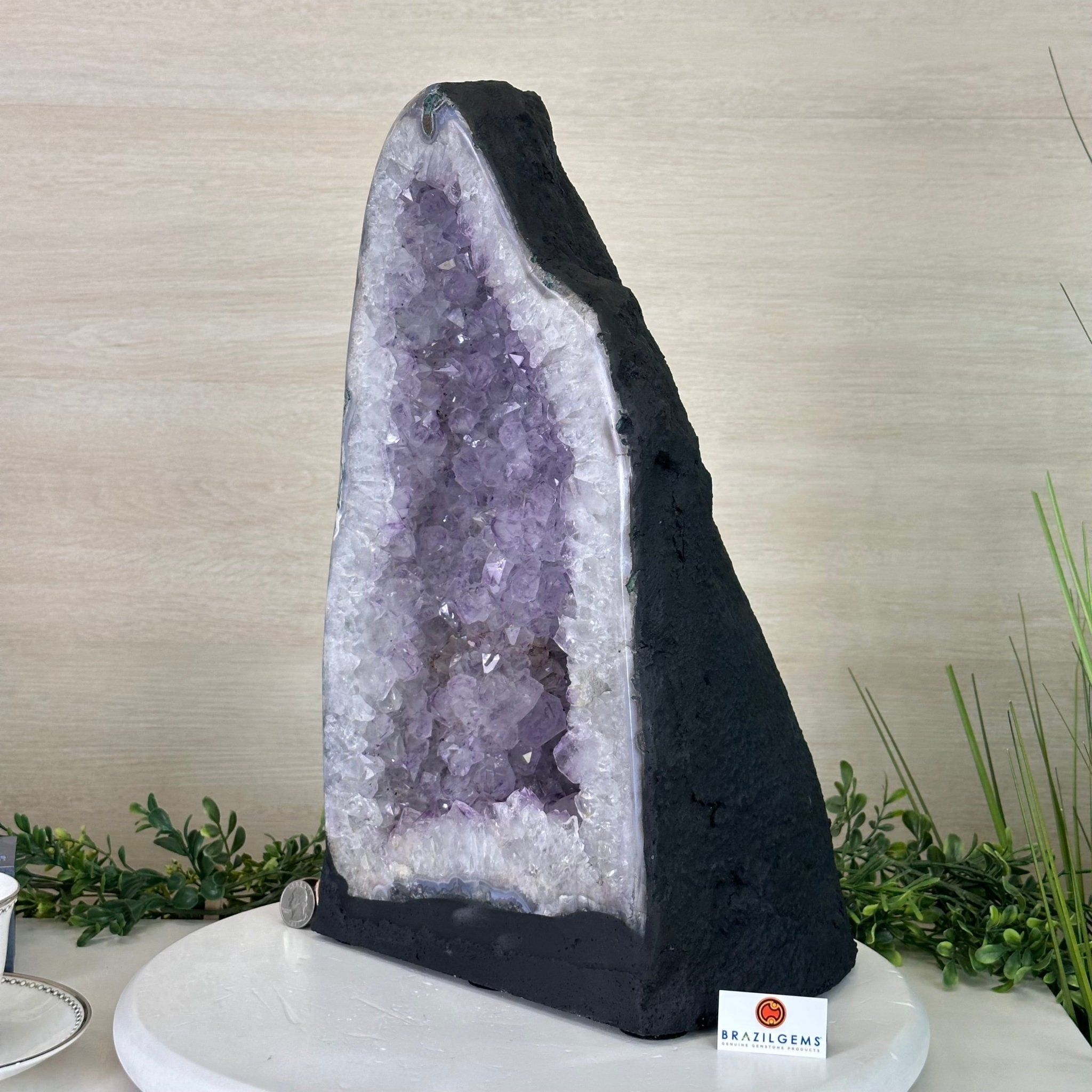 Standard Plus Quality Amethyst Cathedral, 37.1 lbs & 16.6" Tall #5601 - 1255 - Brazil GemsBrazil GemsStandard Plus Quality Amethyst Cathedral, 37.1 lbs & 16.6" Tall #5601 - 1255Cathedrals5601 - 1255