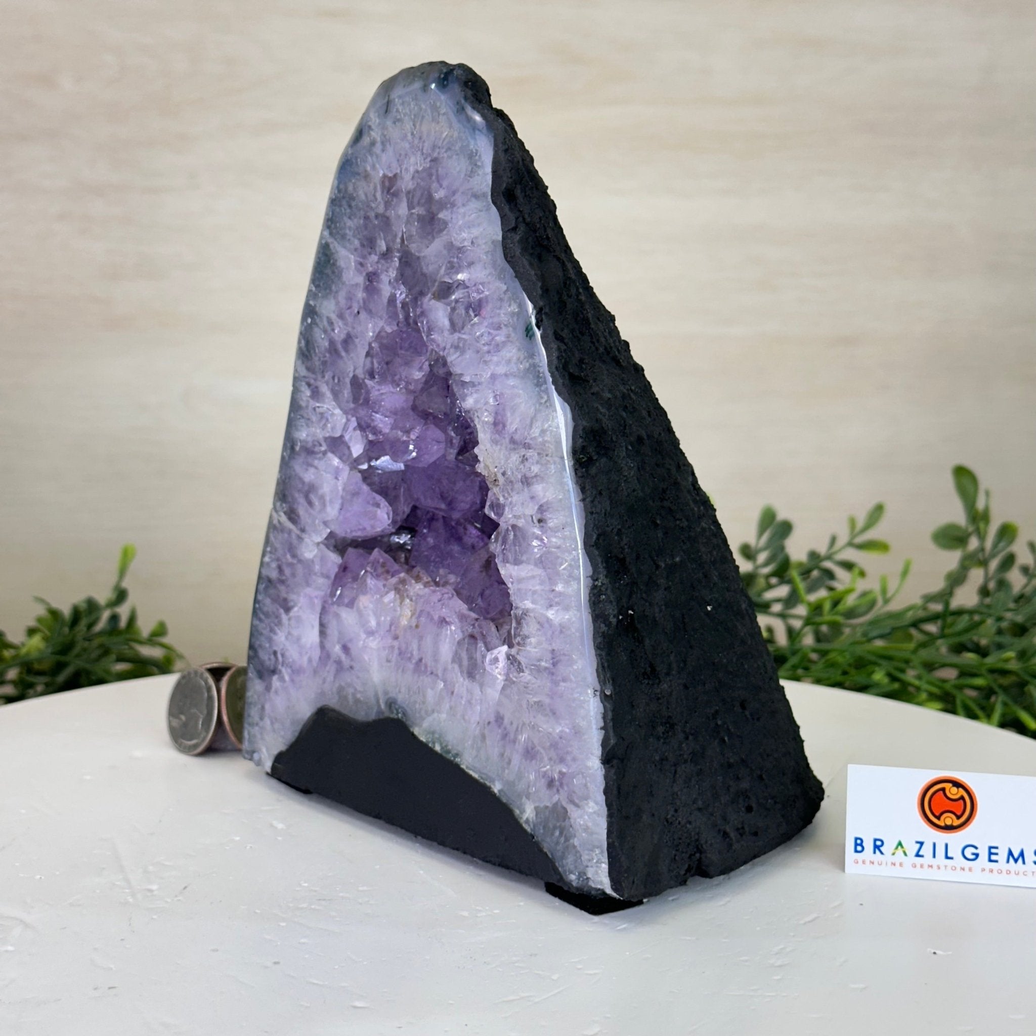 Standard Plus Quality Amethyst Cathedral, 6.1 lbs & 7.3" Tall #5601 - 1192 - Brazil GemsBrazil GemsStandard Plus Quality Amethyst Cathedral, 6.1 lbs & 7.3" Tall #5601 - 1192Cathedrals5601 - 1192