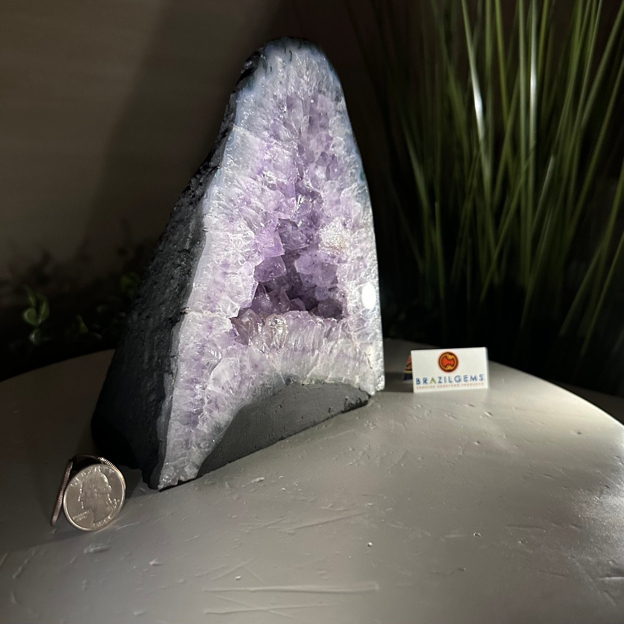 Standard Plus Quality Amethyst Cathedral, 6.1 lbs & 7.3" Tall #5601 - 1192 - Brazil GemsBrazil GemsStandard Plus Quality Amethyst Cathedral, 6.1 lbs & 7.3" Tall #5601 - 1192Cathedrals5601 - 1192