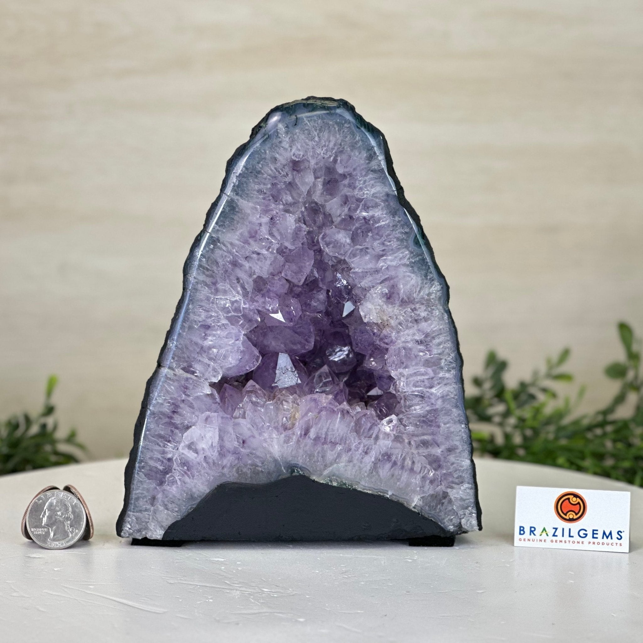 Standard Plus Quality Amethyst Cathedral, 6.1 lbs & 7.3" Tall #5601 - 1192 - Brazil GemsBrazil GemsStandard Plus Quality Amethyst Cathedral, 6.1 lbs & 7.3" Tall #5601 - 1192Cathedrals5601 - 1192