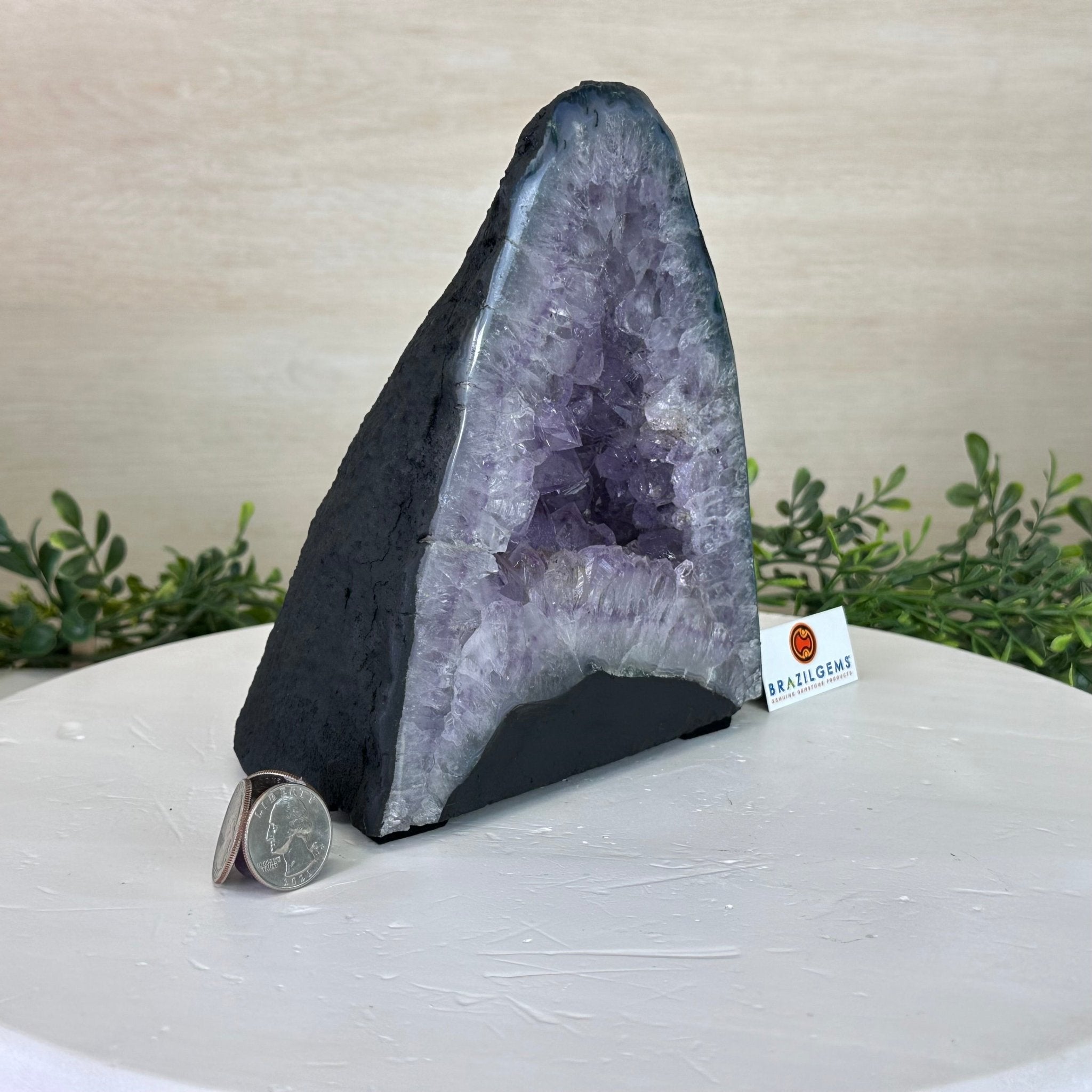 Standard Plus Quality Amethyst Cathedral, 6.1 lbs & 7.3" Tall #5601 - 1192 - Brazil GemsBrazil GemsStandard Plus Quality Amethyst Cathedral, 6.1 lbs & 7.3" Tall #5601 - 1192Cathedrals5601 - 1192