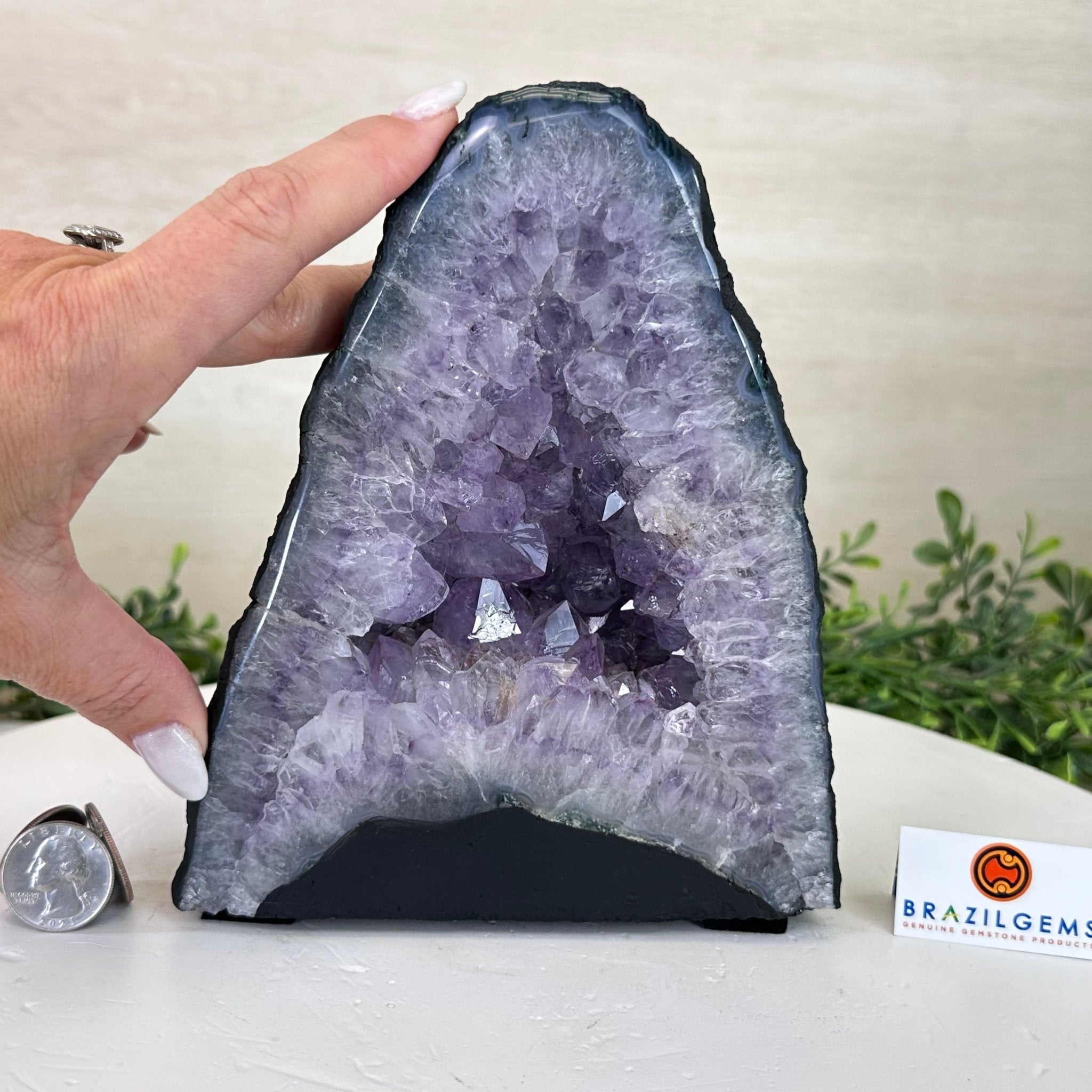 Standard Plus Quality Amethyst Cathedral, 6.1 lbs & 7.3" Tall #5601 - 1192 - Brazil GemsBrazil GemsStandard Plus Quality Amethyst Cathedral, 6.1 lbs & 7.3" Tall #5601 - 1192Cathedrals5601 - 1192