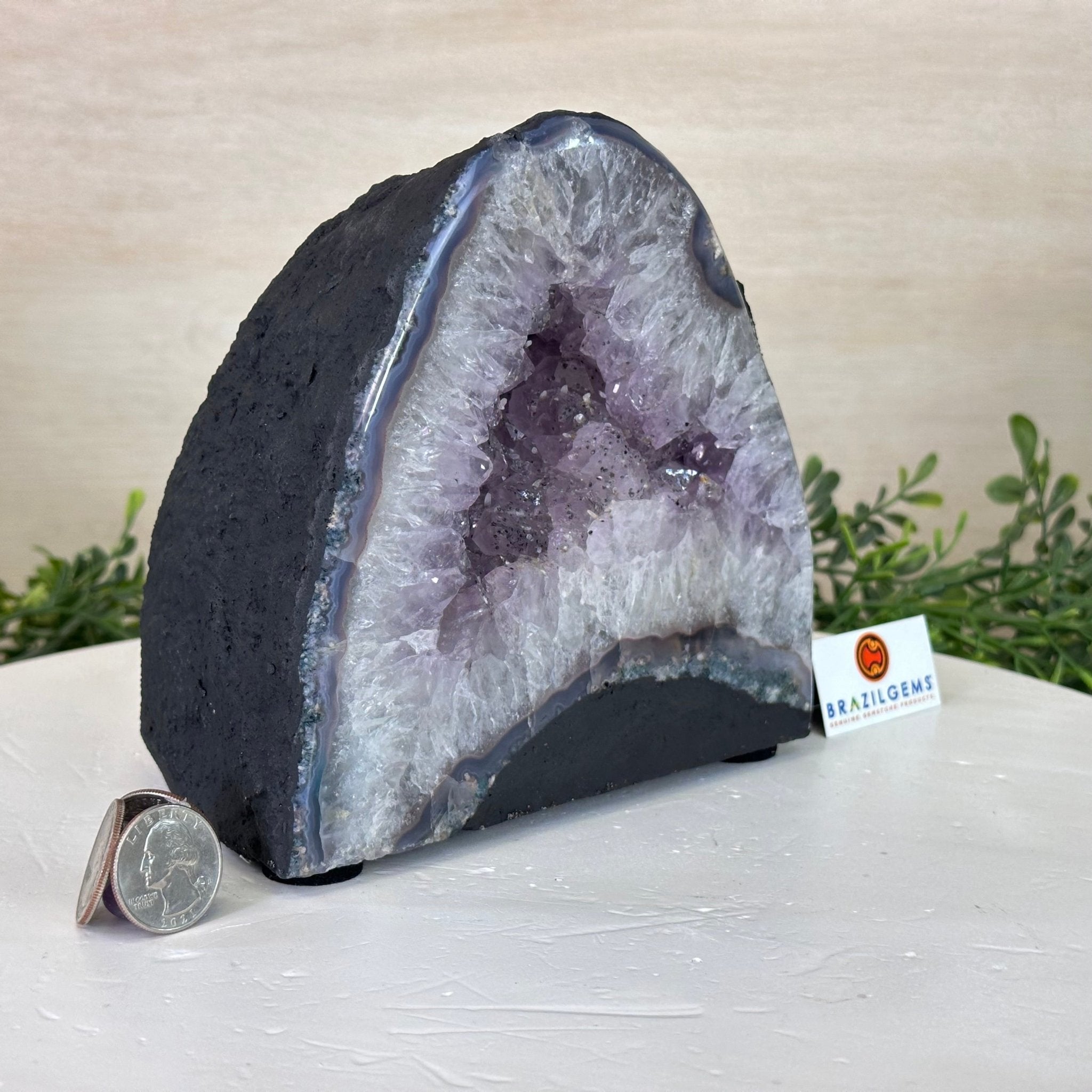 Standard Plus Quality Amethyst Cathedral, 7.3 lbs & 6.1" Tall #5601 - 1193 - Brazil GemsBrazil GemsStandard Plus Quality Amethyst Cathedral, 7.3 lbs & 6.1" Tall #5601 - 1193Cathedrals5601 - 1193