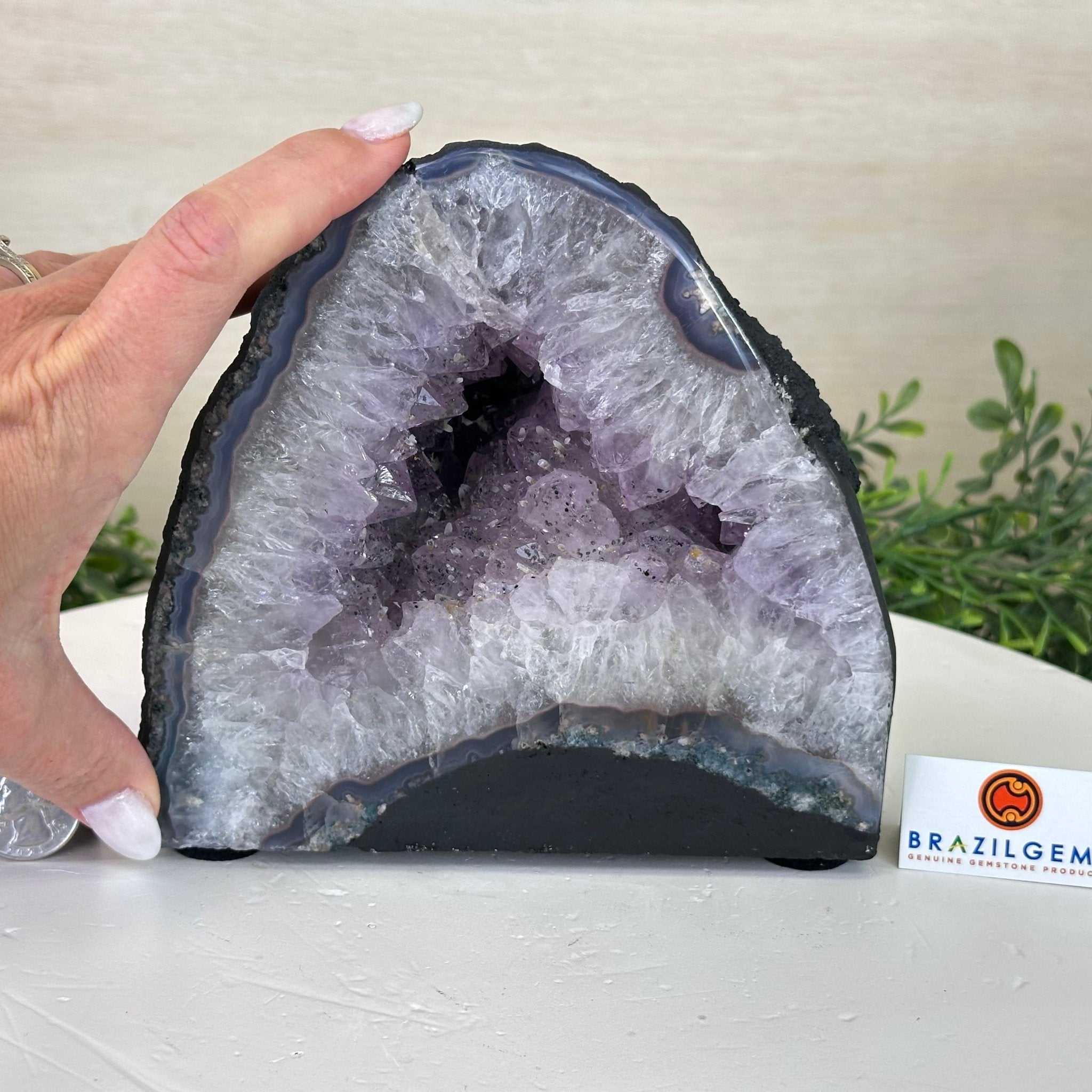 Standard Plus Quality Amethyst Cathedral, 7.3 lbs & 6.1" Tall #5601 - 1193 - Brazil GemsBrazil GemsStandard Plus Quality Amethyst Cathedral, 7.3 lbs & 6.1" Tall #5601 - 1193Cathedrals5601 - 1193