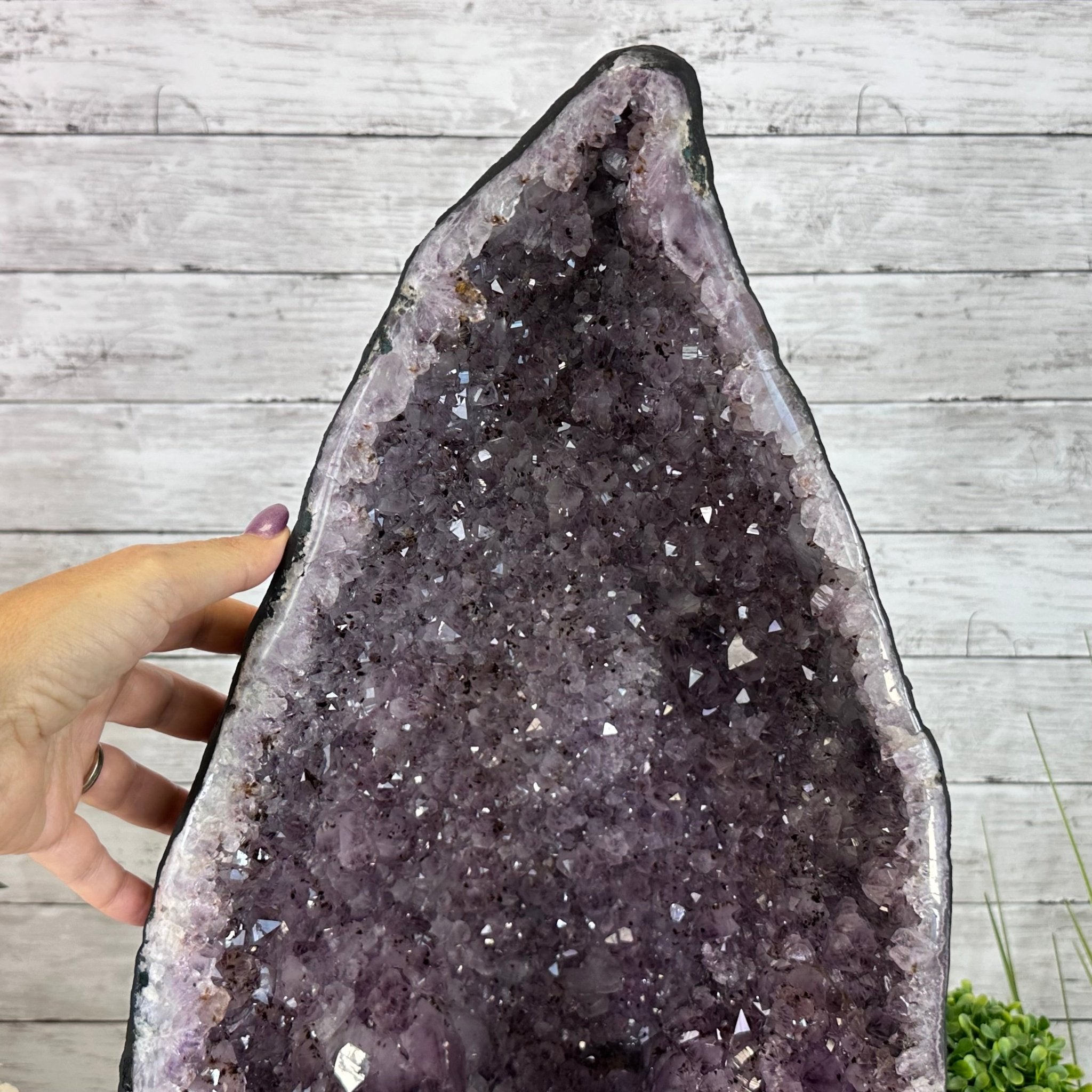 Standard Plus Quality Amethyst Cathedral, 73.5 lbs & 22.6" Tall #5601 - 1260 - Brazil GemsBrazil GemsStandard Plus Quality Amethyst Cathedral, 73.5 lbs & 22.6" Tall #5601 - 1260Cathedrals5601 - 1260