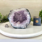 Standard Plus Quality Amethyst Cluster, 10” tall & 5.4 lbs #5520 - 0052 - Brazil GemsBrazil GemsStandard Plus Quality Amethyst Cluster, 10” tall & 5.4 lbs #5520 - 0052Clusters: Unique & Freeform5520 - 0052