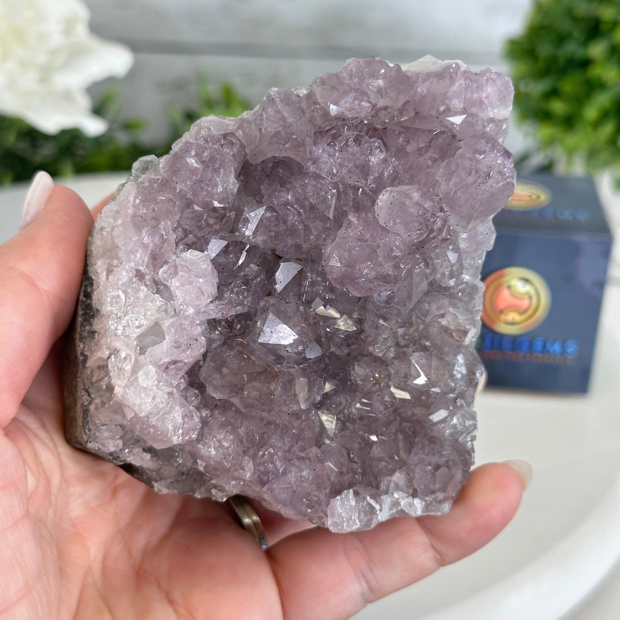 Standard Plus Quality Amethyst Cluster w/ flat bottom, 3.4" Tall #5611 - 0266 - Brazil GemsBrazil GemsStandard Plus Quality Amethyst Cluster w/ flat bottom, 3.4" Tall #5611 - 0266Small Clusters with Flat Bases5611 - 0266