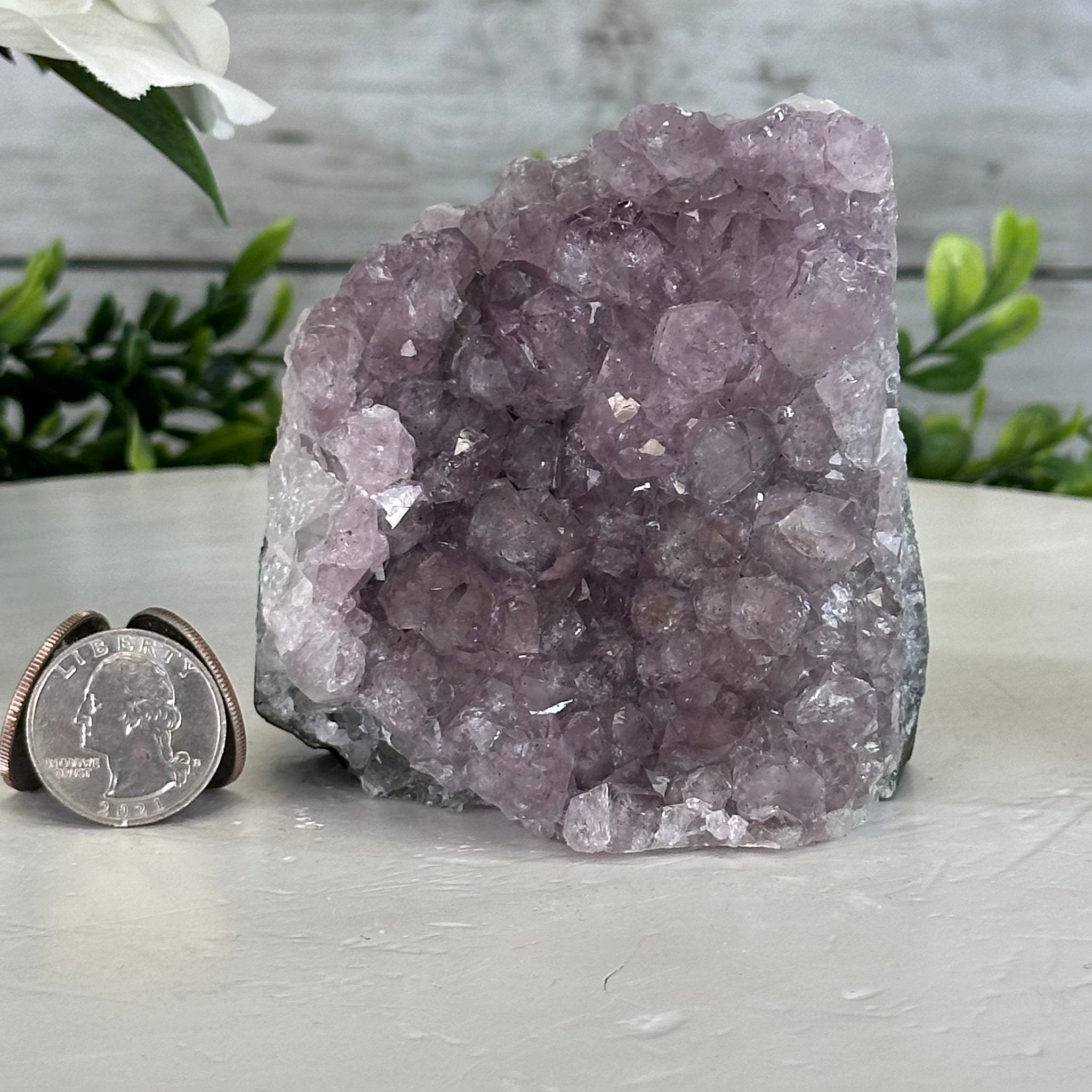 Standard Plus Quality Amethyst Cluster w/ flat bottom, 3.4" Tall #5611 - 0266 - Brazil GemsBrazil GemsStandard Plus Quality Amethyst Cluster w/ flat bottom, 3.4" Tall #5611 - 0266Small Clusters with Flat Bases5611 - 0266