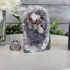 Standard Plus Quality Amethyst Cluster w/ flat bottom, 4.6" Tall #5611 - 0269 - Brazil GemsBrazil GemsStandard Plus Quality Amethyst Cluster w/ flat bottom, 4.6" Tall #5611 - 0269Small Clusters with Flat Bases5611 - 0269