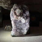 Standard Plus Quality Amethyst Cluster w/ flat bottom, 4.6" Tall #5611 - 0269 - Brazil GemsBrazil GemsStandard Plus Quality Amethyst Cluster w/ flat bottom, 4.6" Tall #5611 - 0269Small Clusters with Flat Bases5611 - 0269