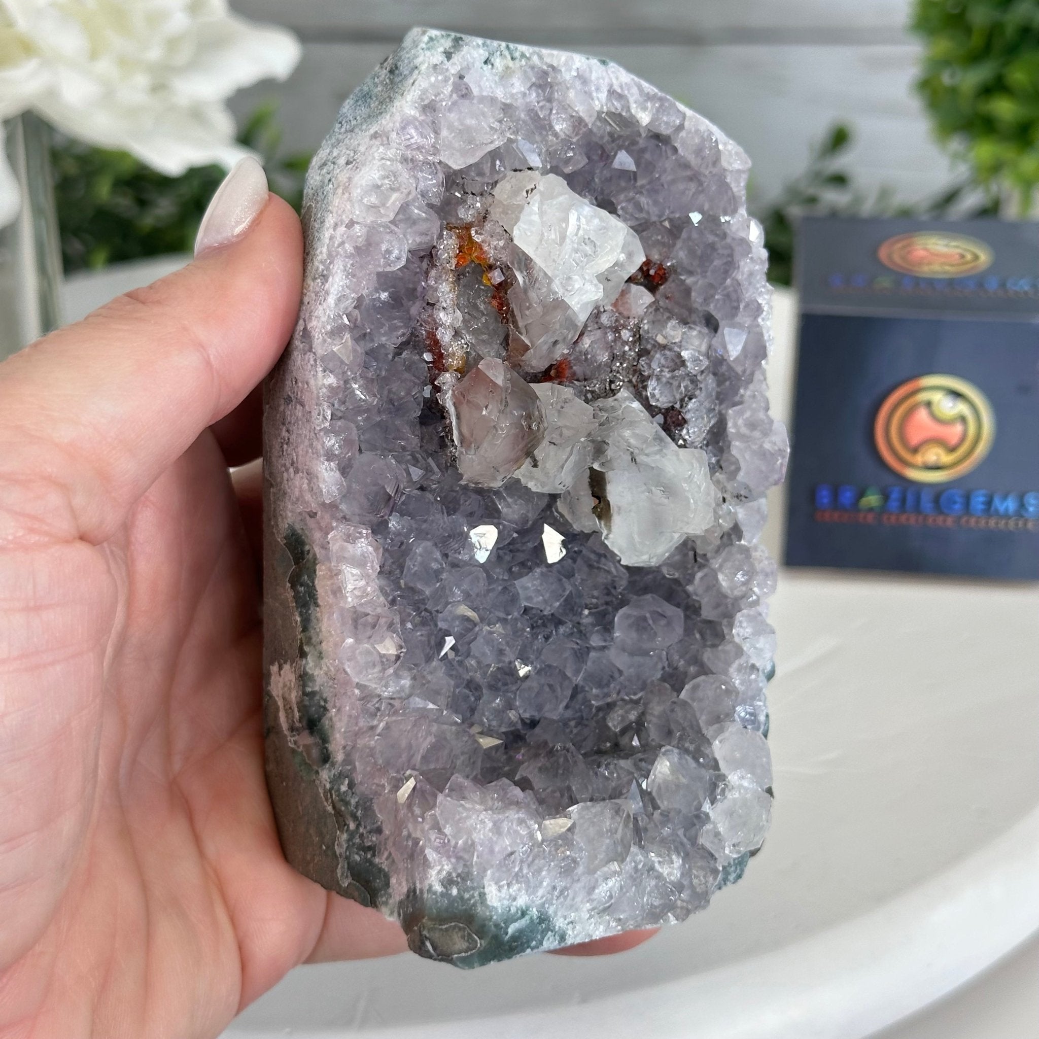 Standard Plus Quality Amethyst Cluster w/ flat bottom, 4.6" Tall #5611 - 0269 - Brazil GemsBrazil GemsStandard Plus Quality Amethyst Cluster w/ flat bottom, 4.6" Tall #5611 - 0269Small Clusters with Flat Bases5611 - 0269