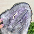 Standard Plus Quality Amethyst Crystal Slice, 10.1 lbs & 11.4" Tall #5621AM - 006 - Brazil GemsBrazil GemsStandard Plus Quality Amethyst Crystal Slice, 10.1 lbs & 11.4" Tall #5621AM - 006Slices on Fixed Bases5621AM - 006