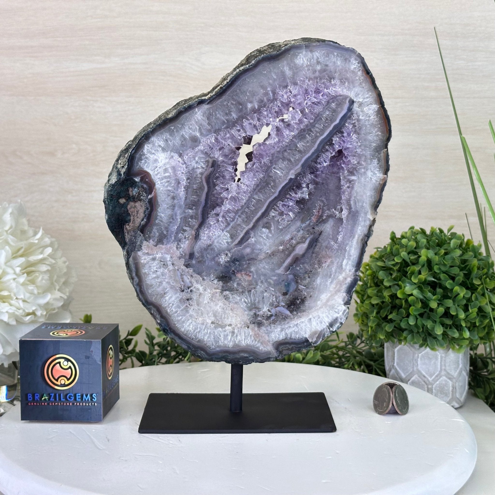 Standard Plus Quality Amethyst Crystal Slice, 10.1 lbs & 11.4" Tall #5621AM - 006 - Brazil GemsBrazil GemsStandard Plus Quality Amethyst Crystal Slice, 10.1 lbs & 11.4" Tall #5621AM - 006Slices on Fixed Bases5621AM - 006