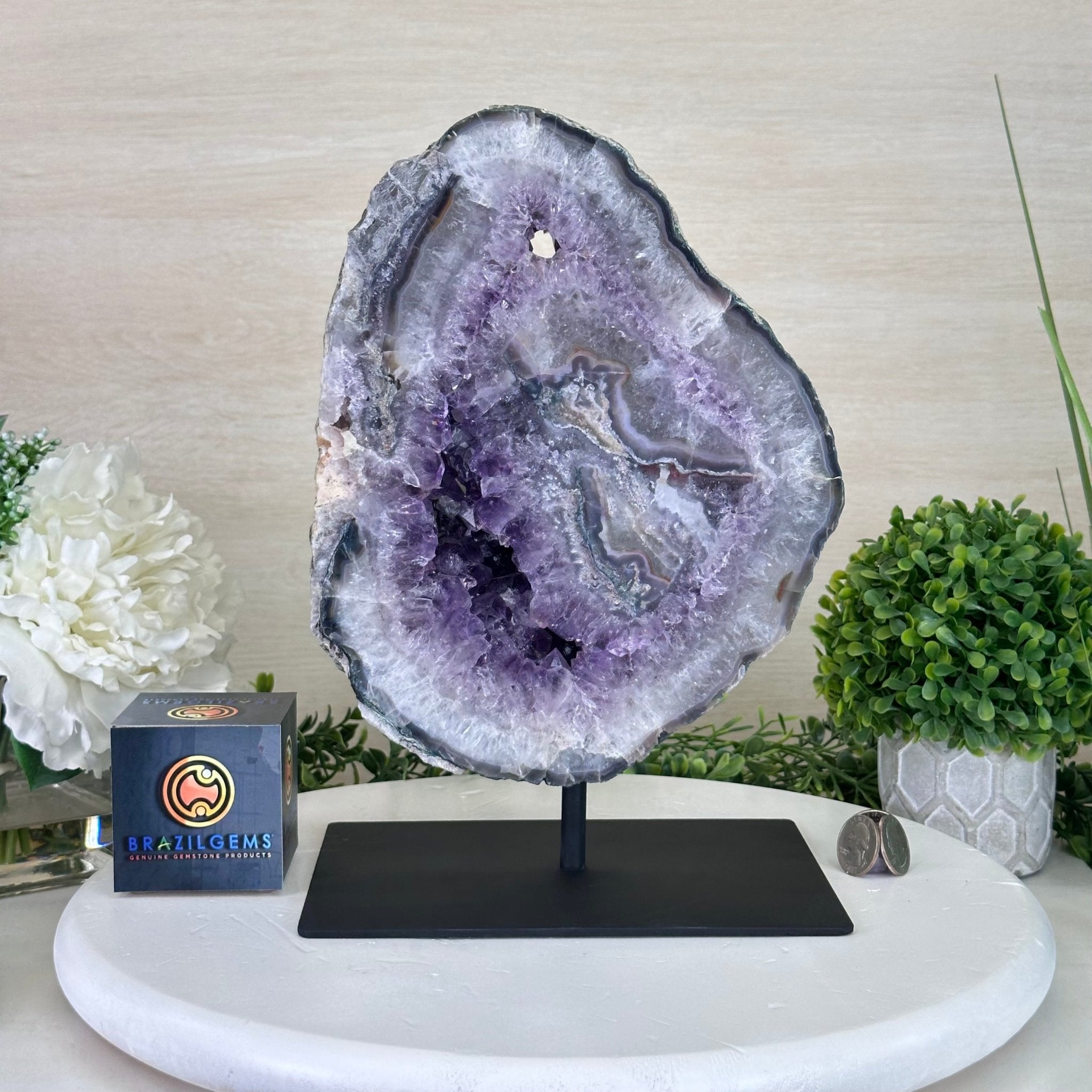 Standard Plus Quality Amethyst Crystal Slice, 10.3 lbs & 11.9" Tall #5621AM - 007 - Brazil GemsBrazil GemsStandard Plus Quality Amethyst Crystal Slice, 10.3 lbs & 11.9" Tall #5621AM - 007Slices on Fixed Bases5621AM - 007