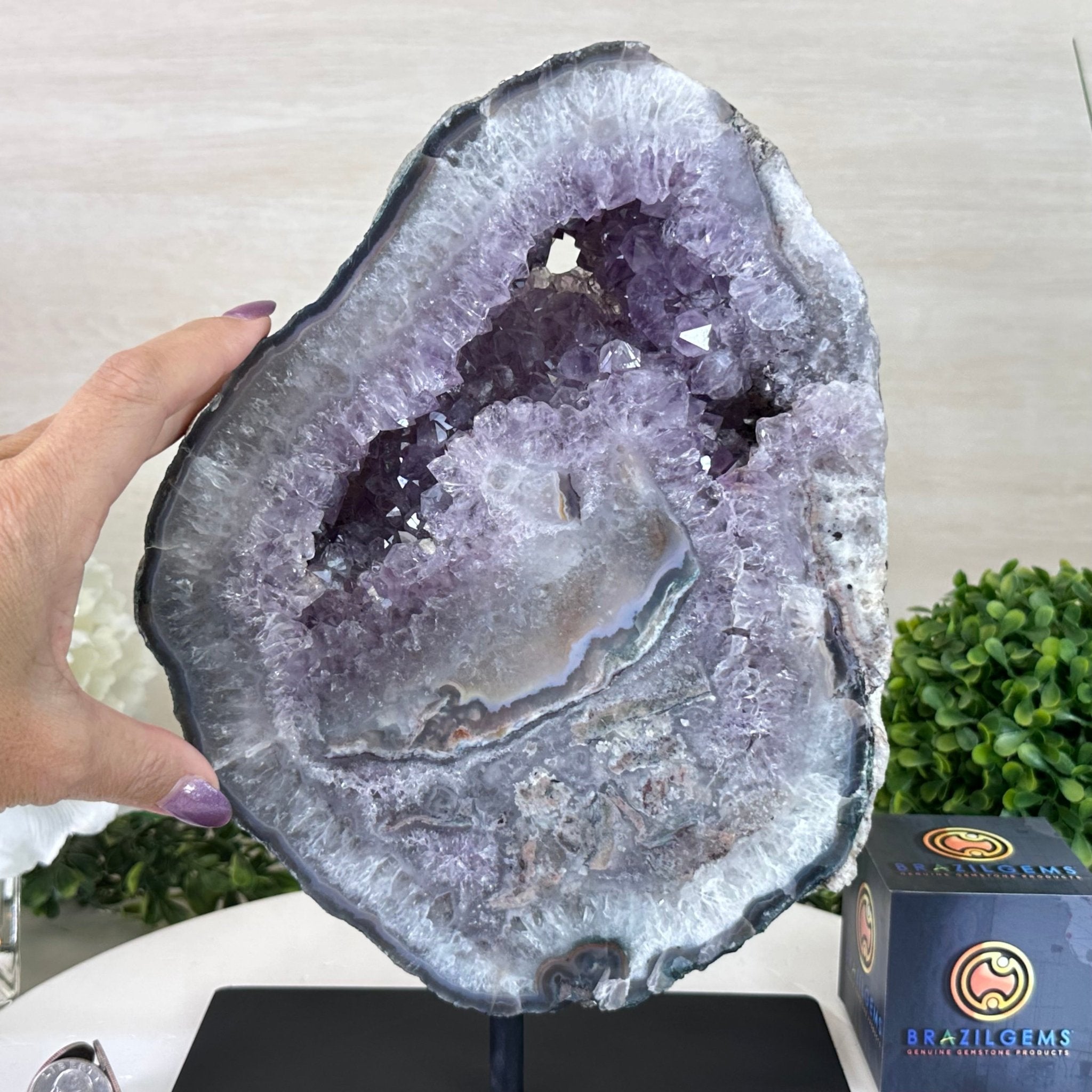 Standard Plus Quality Amethyst Crystal Slice, 10.3 lbs & 11.9" Tall #5621AM - 007 - Brazil GemsBrazil GemsStandard Plus Quality Amethyst Crystal Slice, 10.3 lbs & 11.9" Tall #5621AM - 007Slices on Fixed Bases5621AM - 007