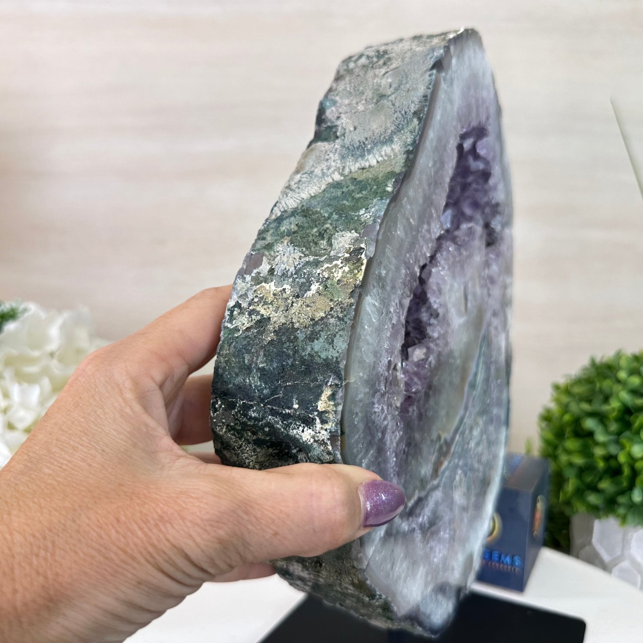 Standard Plus Quality Amethyst Crystal Slice, 10.3 lbs & 11.9" Tall #5621AM - 007 - Brazil GemsBrazil GemsStandard Plus Quality Amethyst Crystal Slice, 10.3 lbs & 11.9" Tall #5621AM - 007Slices on Fixed Bases5621AM - 007