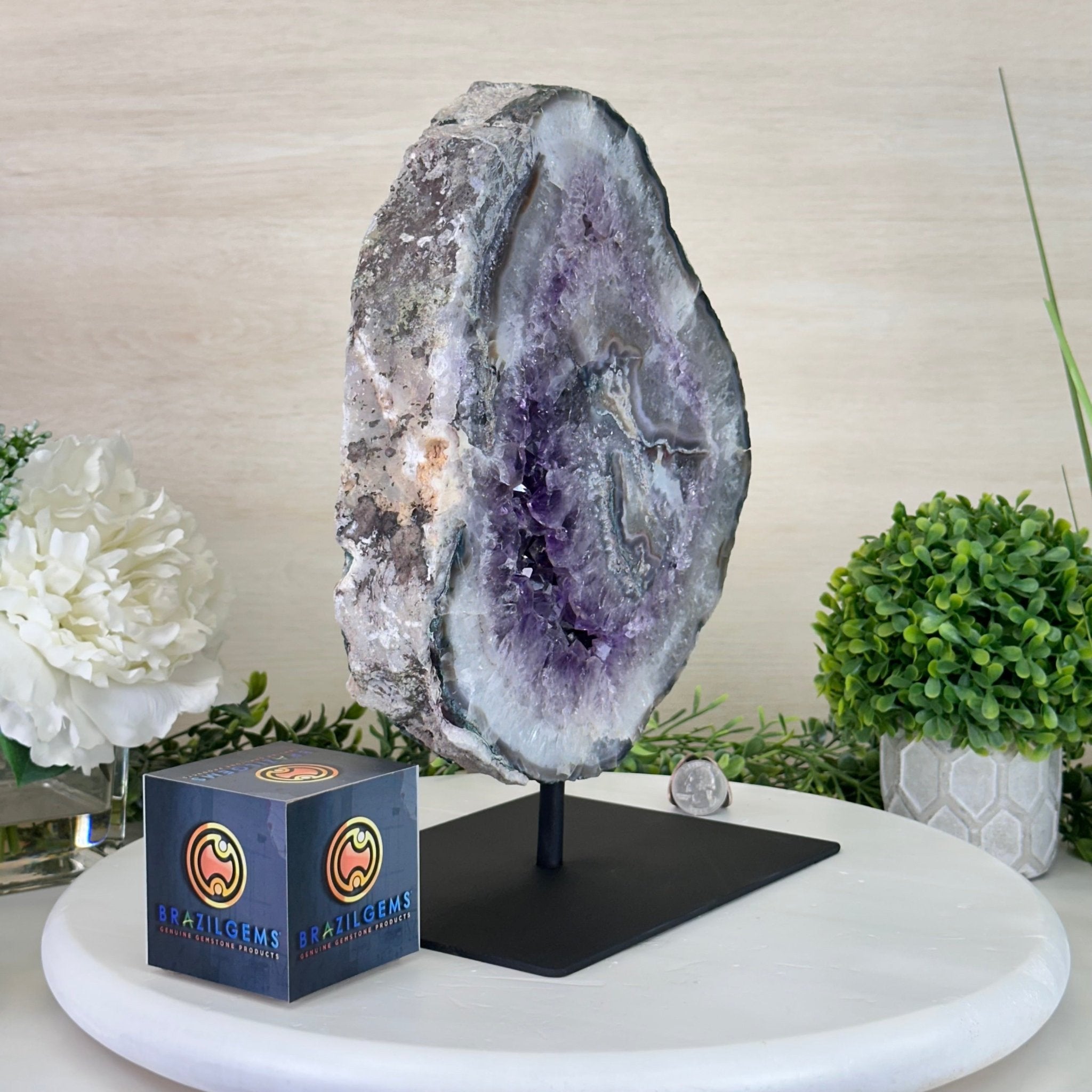 Standard Plus Quality Amethyst Crystal Slice, 10.3 lbs & 11.9" Tall #5621AM - 007 - Brazil GemsBrazil GemsStandard Plus Quality Amethyst Crystal Slice, 10.3 lbs & 11.9" Tall #5621AM - 007Slices on Fixed Bases5621AM - 007