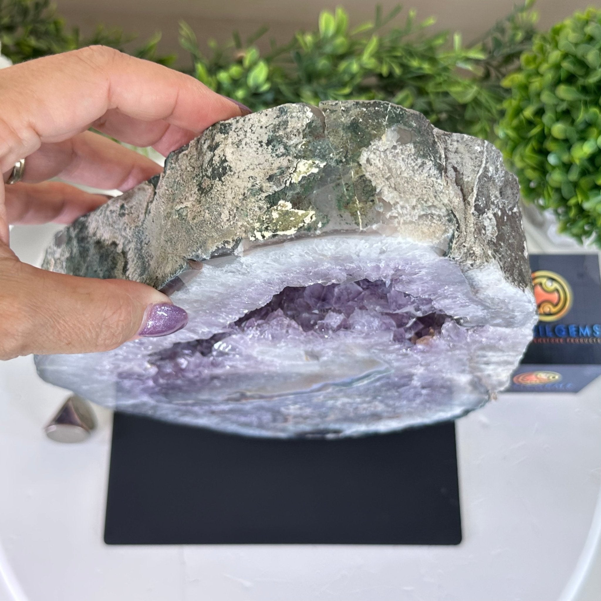 Standard Plus Quality Amethyst Crystal Slice, 10.3 lbs & 11.9" Tall #5621AM - 007 - Brazil GemsBrazil GemsStandard Plus Quality Amethyst Crystal Slice, 10.3 lbs & 11.9" Tall #5621AM - 007Slices on Fixed Bases5621AM - 007