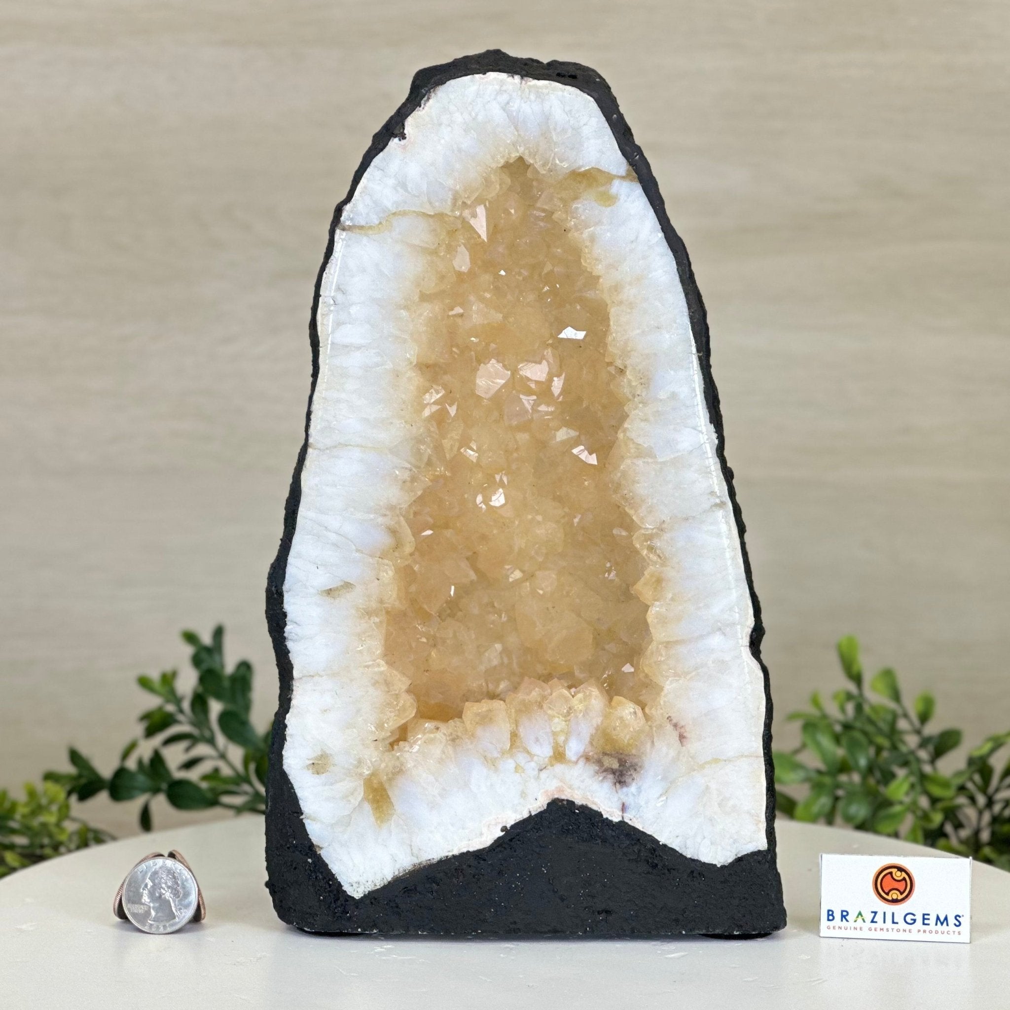 Standard Plus Quality Citrine Cathedral, 11.9 lbs & 10.9" Tall 5603 - 0353 - Brazil GemsBrazil GemsStandard Plus Quality Citrine Cathedral, 11.9 lbs & 10.9" Tall 5603 - 0353Cathedrals5603 - 0353