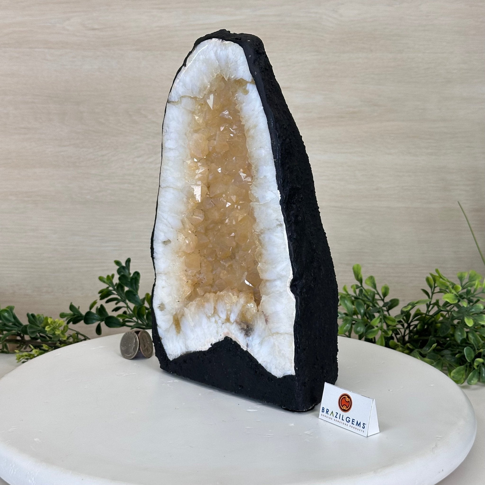 Standard Plus Quality Citrine Cathedral, 11.9 lbs & 10.9" Tall 5603 - 0353 - Brazil GemsBrazil GemsStandard Plus Quality Citrine Cathedral, 11.9 lbs & 10.9" Tall 5603 - 0353Cathedrals5603 - 0353
