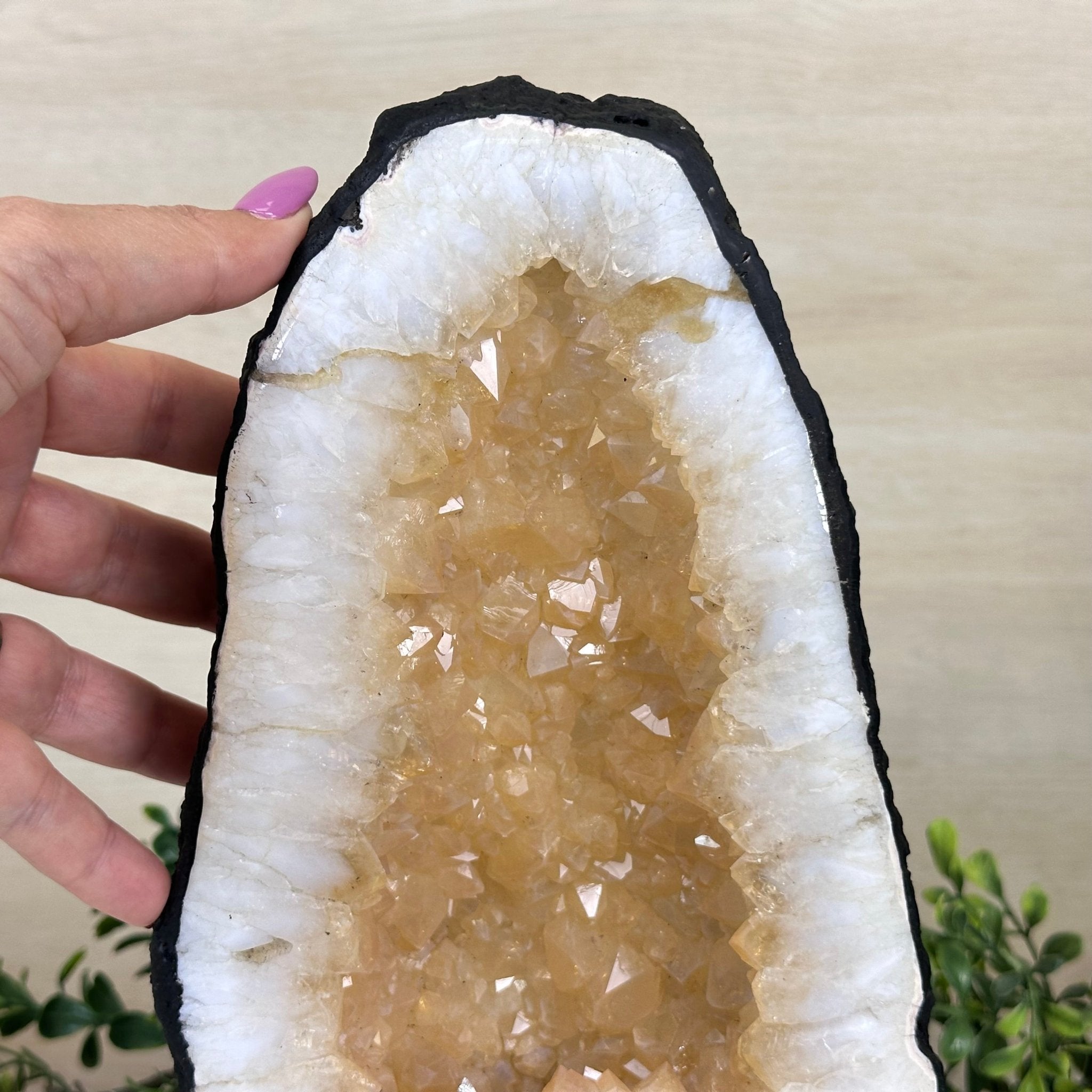 Standard Plus Quality Citrine Cathedral, 11.9 lbs & 10.9" Tall 5603 - 0353 - Brazil GemsBrazil GemsStandard Plus Quality Citrine Cathedral, 11.9 lbs & 10.9" Tall 5603 - 0353Cathedrals5603 - 0353