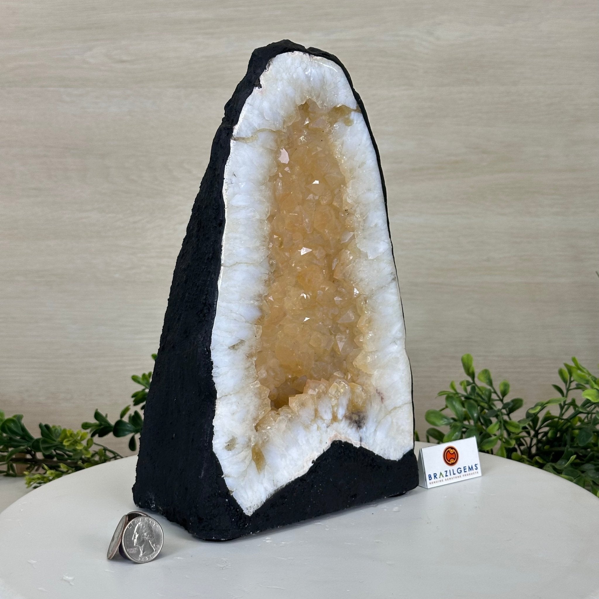 Standard Plus Quality Citrine Cathedral, 11.9 lbs & 10.9" Tall 5603 - 0353 - Brazil GemsBrazil GemsStandard Plus Quality Citrine Cathedral, 11.9 lbs & 10.9" Tall 5603 - 0353Cathedrals5603 - 0353