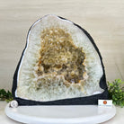 Standard Plus Quality Citrine Cathedral, 43 lbs & 12.2" Tall 5603 - 0360 - Brazil GemsBrazil GemsStandard Plus Quality Citrine Cathedral, 43 lbs & 12.2" Tall 5603 - 0360Cathedrals5603 - 0360