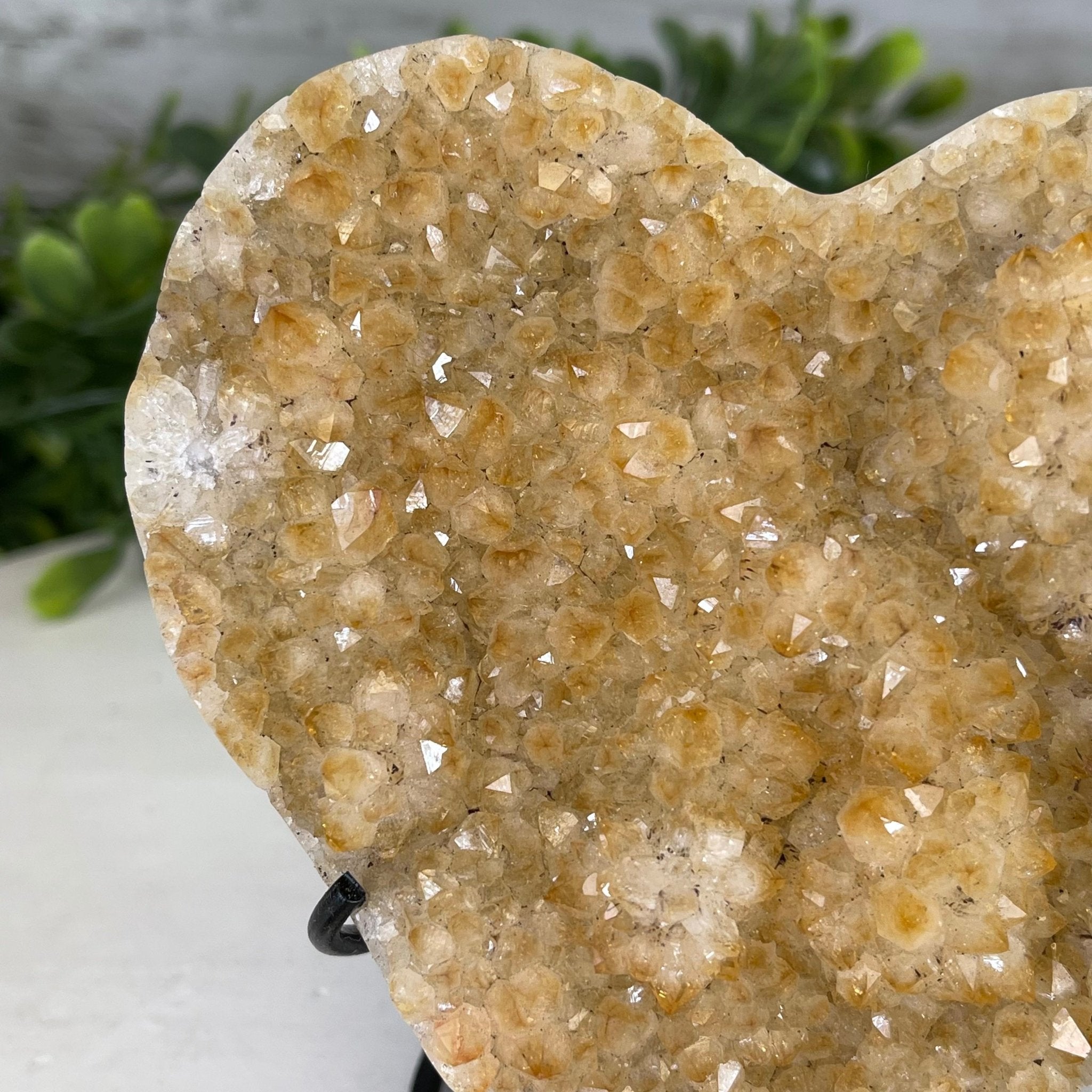 Heart Shaped Citrine Two Stone Necklace | LUO