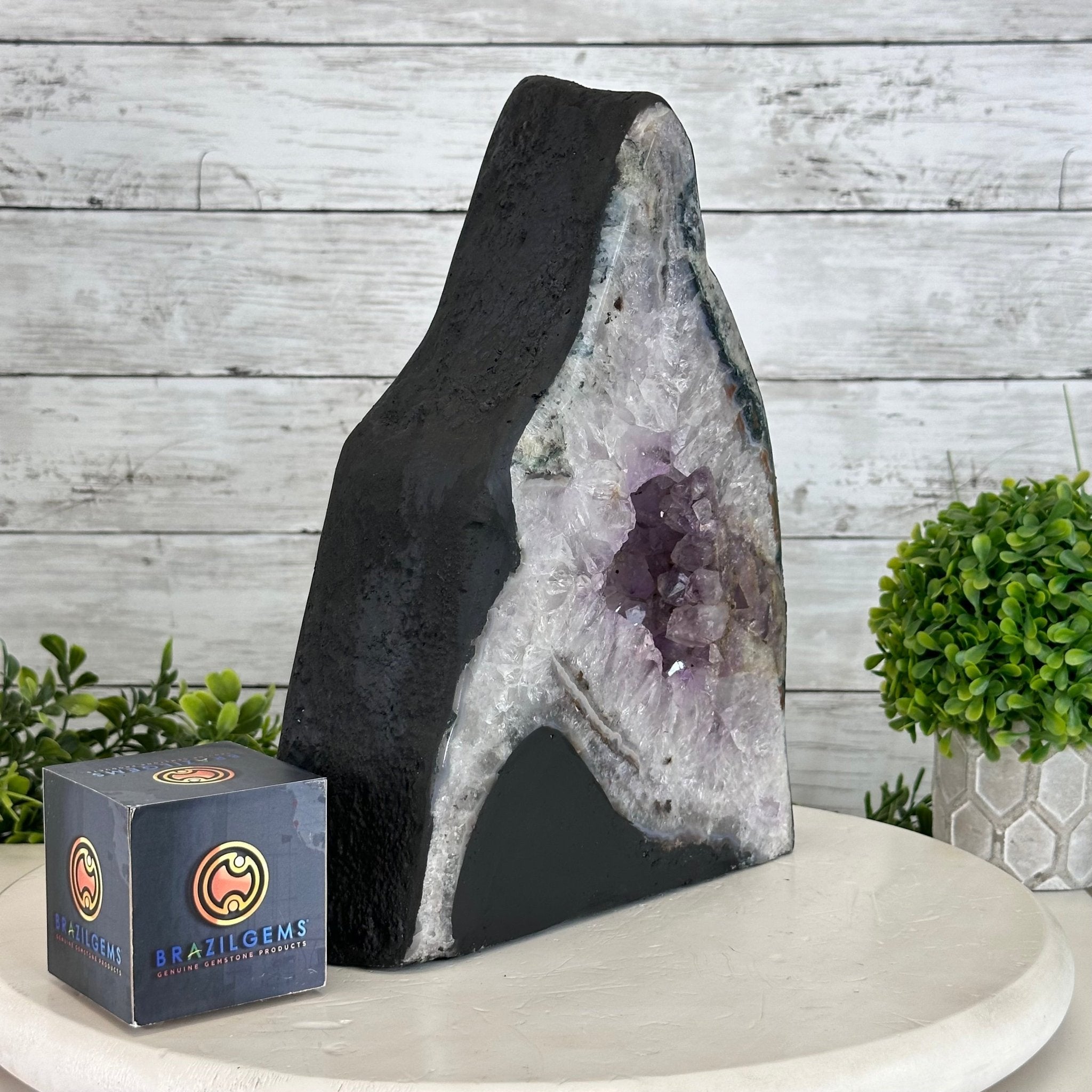 Standard Plus Quality Open 2 - Sided Amethyst Cathedral 14.6 lbs & 11.3" Tall #5605 - 0172 - Brazil GemsBrazil GemsStandard Plus Quality Open 2 - Sided Amethyst Cathedral 14.6 lbs & 11.3" Tall #5605 - 0172Open 2 - Sided Cathedrals5605 - 0172