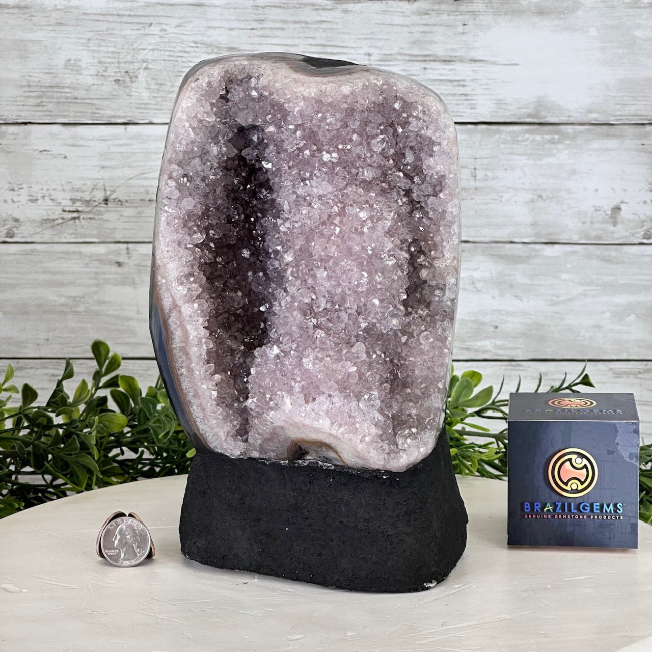 Standard Quality Amethyst Crystal on Cement Base, 11.3 lbs and 9.5" Tall #5614-0074 - Brazil GemsBrazil GemsStandard Quality Amethyst Crystal on Cement Base, 11.3 lbs and 9.5" Tall #5614-0074Clusters on Cement Bases5614-0074