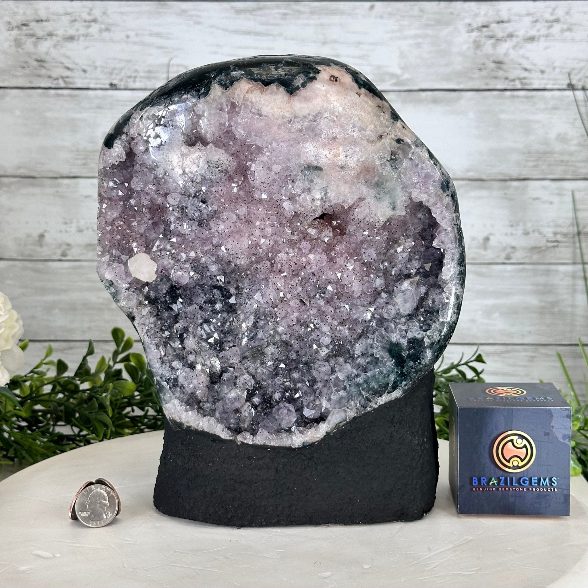 Standard Quality Amethyst Crystal on Cement Base, 19.3 lbs and 10.5"Tall #5614-0076 - Brazil GemsBrazil GemsStandard Quality Amethyst Crystal on Cement Base, 19.3 lbs and 10.5"Tall #5614-0076Clusters on Cement Bases5614-0076