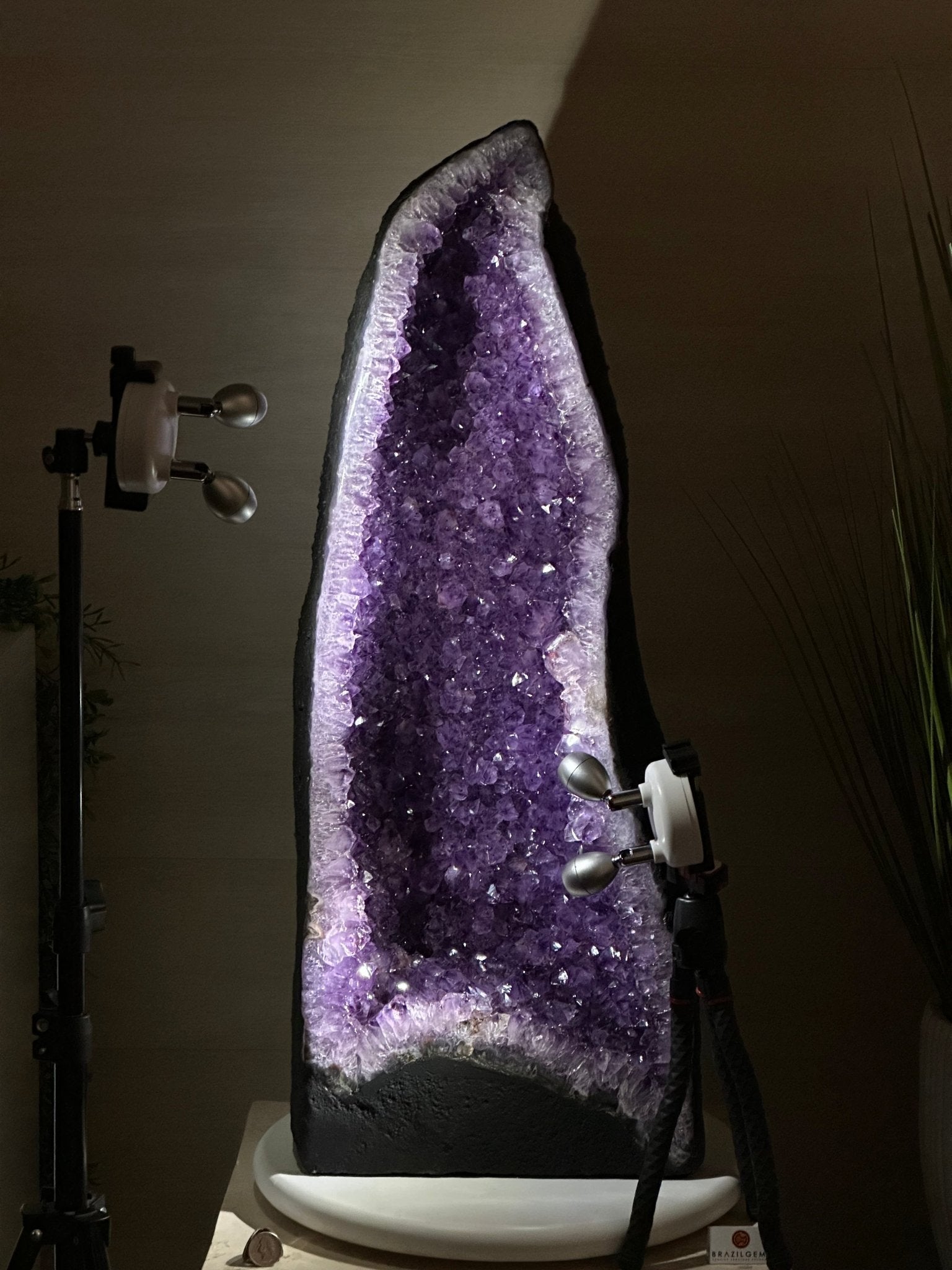 Super Quality Amethyst Cathedral, 110.3 lbs & 30.4 Inches Tall #5601 - 1494 - Brazil GemsBrazil GemsSuper Quality Amethyst Cathedral, 110.3 lbs & 30.4 Inches Tall #5601 - 1494Cathedrals5601 - 1494
