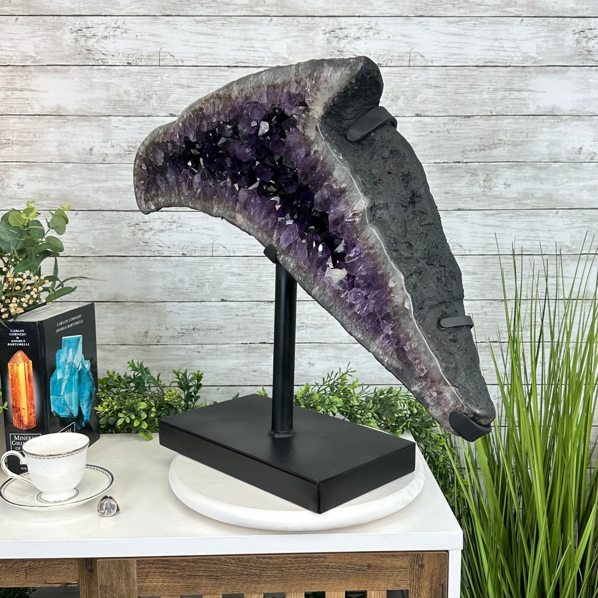 Super Quality Amethyst Cluster "Dolphin" on Metal Stand, 63.9 lbs & 22.1" tall #5491-0060 by Brazil Gems - Brazil GemsBrazil GemsSuper Quality Amethyst Cluster "Dolphin" on Metal Stand, 63.9 lbs & 22.1" tall #5491-0060 by Brazil GemsClusters on Fixed Bases5491-0060