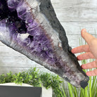 Super Quality Amethyst Cluster "Dolphin" on Metal Stand, 63.9 lbs & 22.1" tall #5491-0060 by Brazil Gems - Brazil GemsBrazil GemsSuper Quality Amethyst Cluster "Dolphin" on Metal Stand, 63.9 lbs & 22.1" tall #5491-0060 by Brazil GemsClusters on Fixed Bases5491-0060