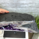 Super Quality Amethyst Cluster "Dolphin" on Metal Stand, 63.9 lbs & 22.1" tall #5491-0060 by Brazil Gems - Brazil GemsBrazil GemsSuper Quality Amethyst Cluster "Dolphin" on Metal Stand, 63.9 lbs & 22.1" tall #5491-0060 by Brazil GemsClusters on Fixed Bases5491-0060