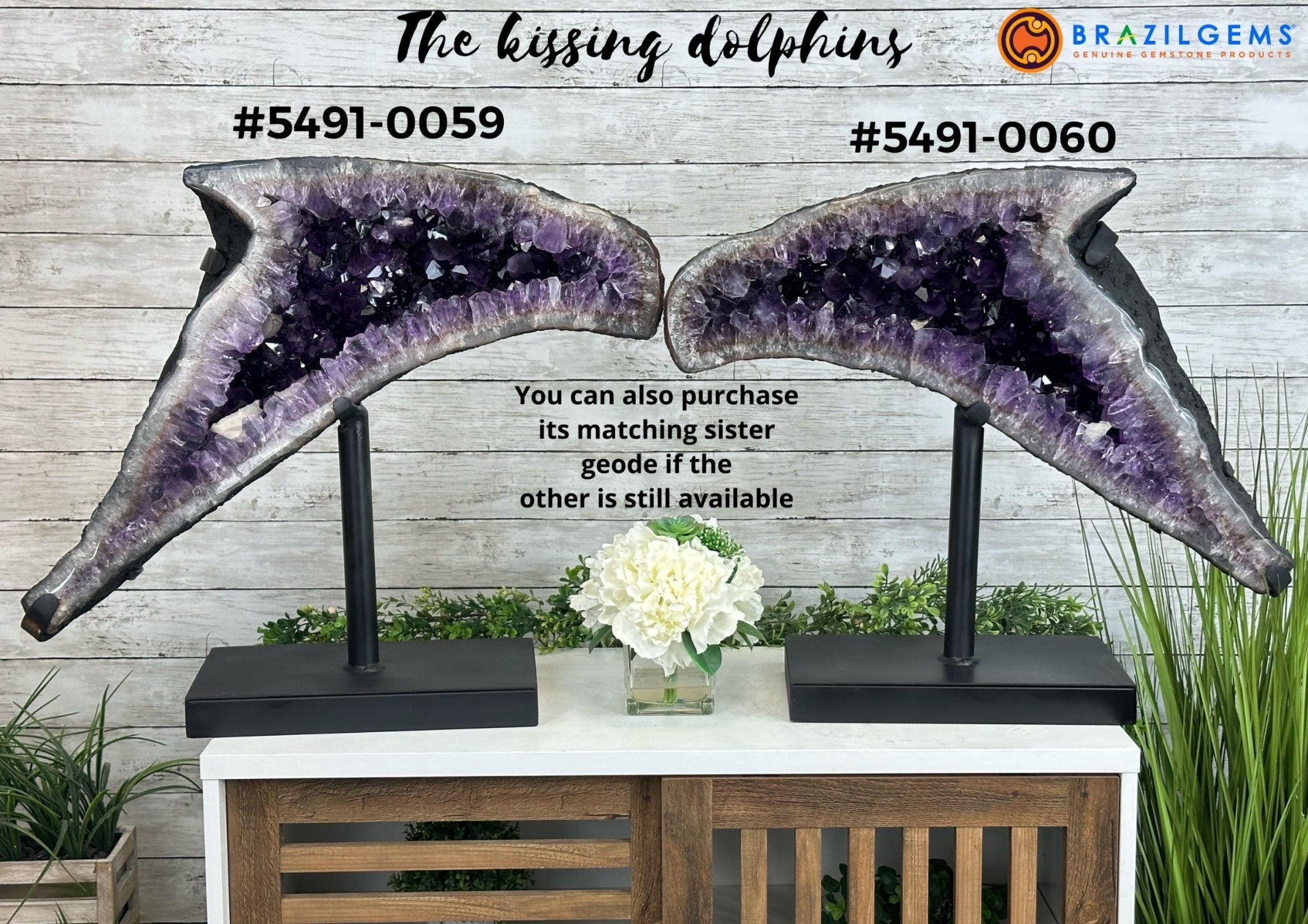 Super Quality Amethyst Cluster "Dolphin" on Metal Stand, 63.9 lbs & 22.1" tall #5491-0060 by Brazil Gems - Brazil GemsBrazil GemsSuper Quality Amethyst Cluster "Dolphin" on Metal Stand, 63.9 lbs & 22.1" tall #5491-0060 by Brazil GemsClusters on Fixed Bases5491-0060