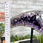 Super Quality Amethyst Cluster "Dolphin" on Metal Stand, 63.9 lbs & 22.1" tall #5491-0060 by Brazil Gems - Brazil GemsBrazil GemsSuper Quality Amethyst Cluster "Dolphin" on Metal Stand, 63.9 lbs & 22.1" tall #5491-0060 by Brazil GemsClusters on Fixed Bases5491-0060