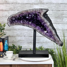 Super Quality Amethyst Cluster "Dolphin" on Metal Stand, 63.9 lbs & 22.1" tall #5491-0060 by Brazil Gems - Brazil GemsBrazil GemsSuper Quality Amethyst Cluster "Dolphin" on Metal Stand, 63.9 lbs & 22.1" tall #5491-0060 by Brazil GemsClusters on Fixed Bases5491-0060