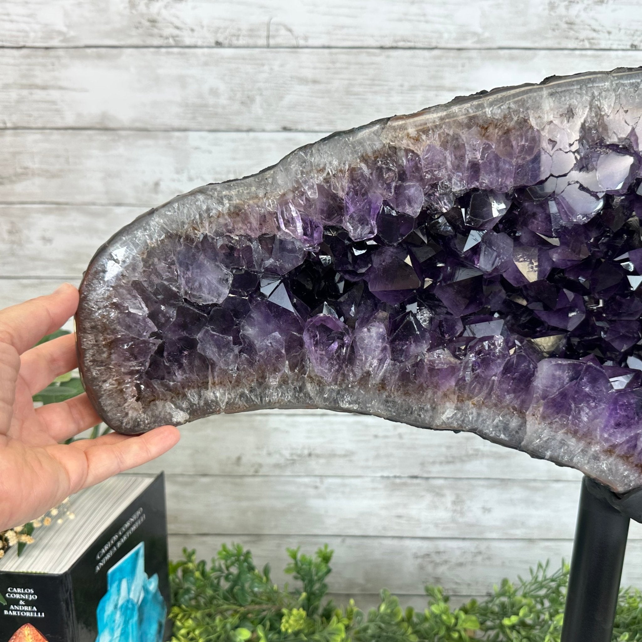 Super Quality Amethyst Cluster "Dolphin" on Metal Stand, 63.9 lbs & 22.1" tall #5491-0060 by Brazil Gems - Brazil GemsBrazil GemsSuper Quality Amethyst Cluster "Dolphin" on Metal Stand, 63.9 lbs & 22.1" tall #5491-0060 by Brazil GemsClusters on Fixed Bases5491-0060