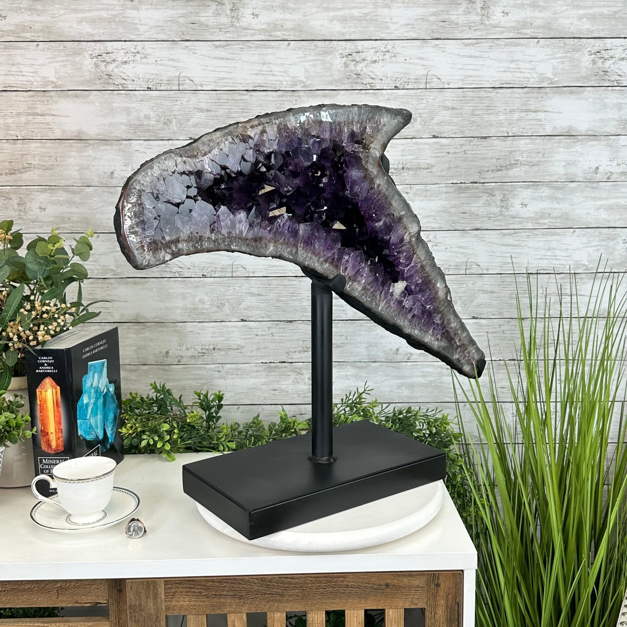 Super Quality Amethyst Cluster "Dolphin" on Metal Stand, 63.9 lbs & 22.1" tall #5491-0060 by Brazil Gems - Brazil GemsBrazil GemsSuper Quality Amethyst Cluster "Dolphin" on Metal Stand, 63.9 lbs & 22.1" tall #5491-0060 by Brazil GemsClusters on Fixed Bases5491-0060