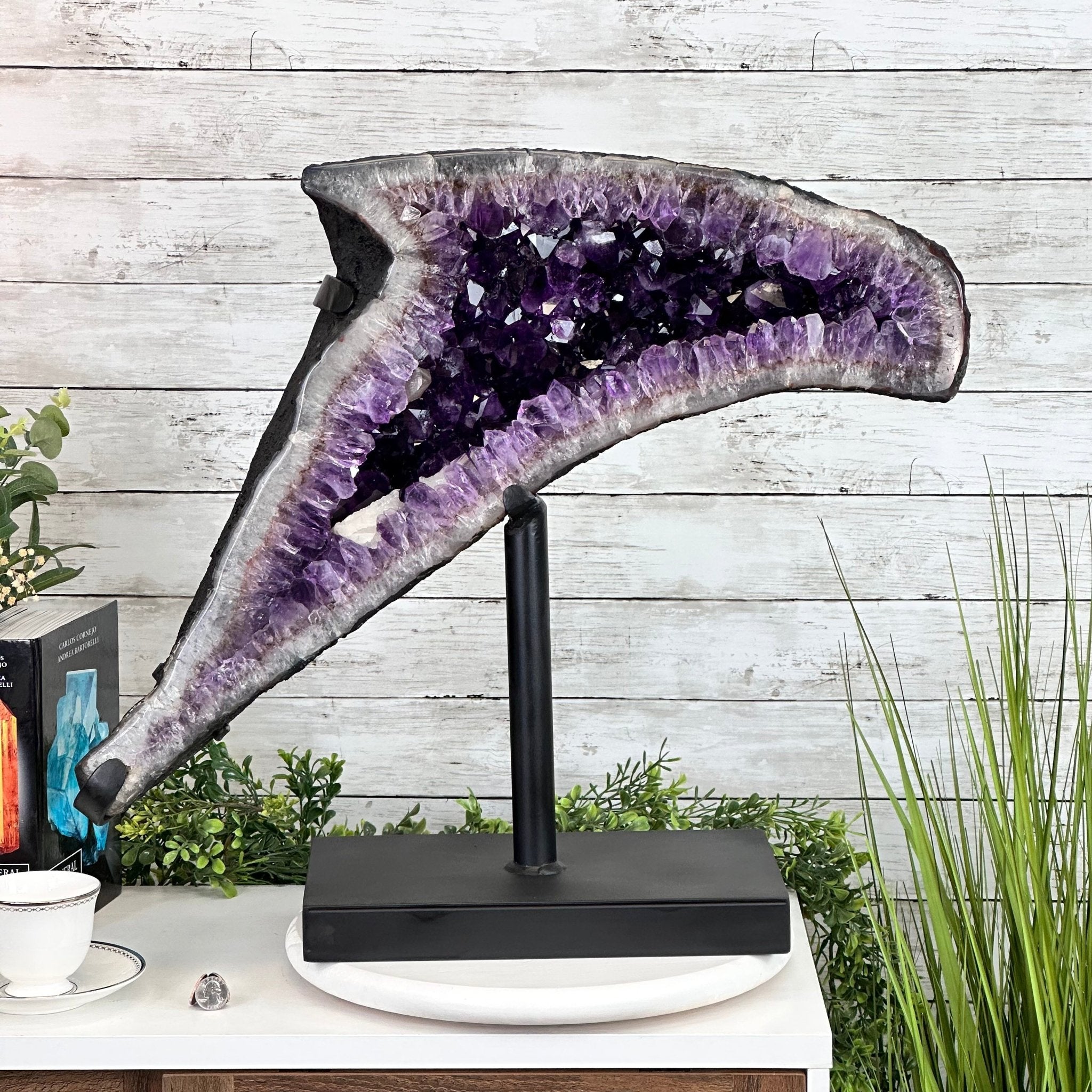 Super Quality Amethyst Cluster "Dolphin" on Metal Stand, 63.9 lbs & 23.1" tall #5491-0059 by Brazil Gems - Brazil GemsBrazil GemsSuper Quality Amethyst Cluster "Dolphin" on Metal Stand, 63.9 lbs & 23.1" tall #5491-0059 by Brazil GemsClusters on Fixed Bases5491-0059
