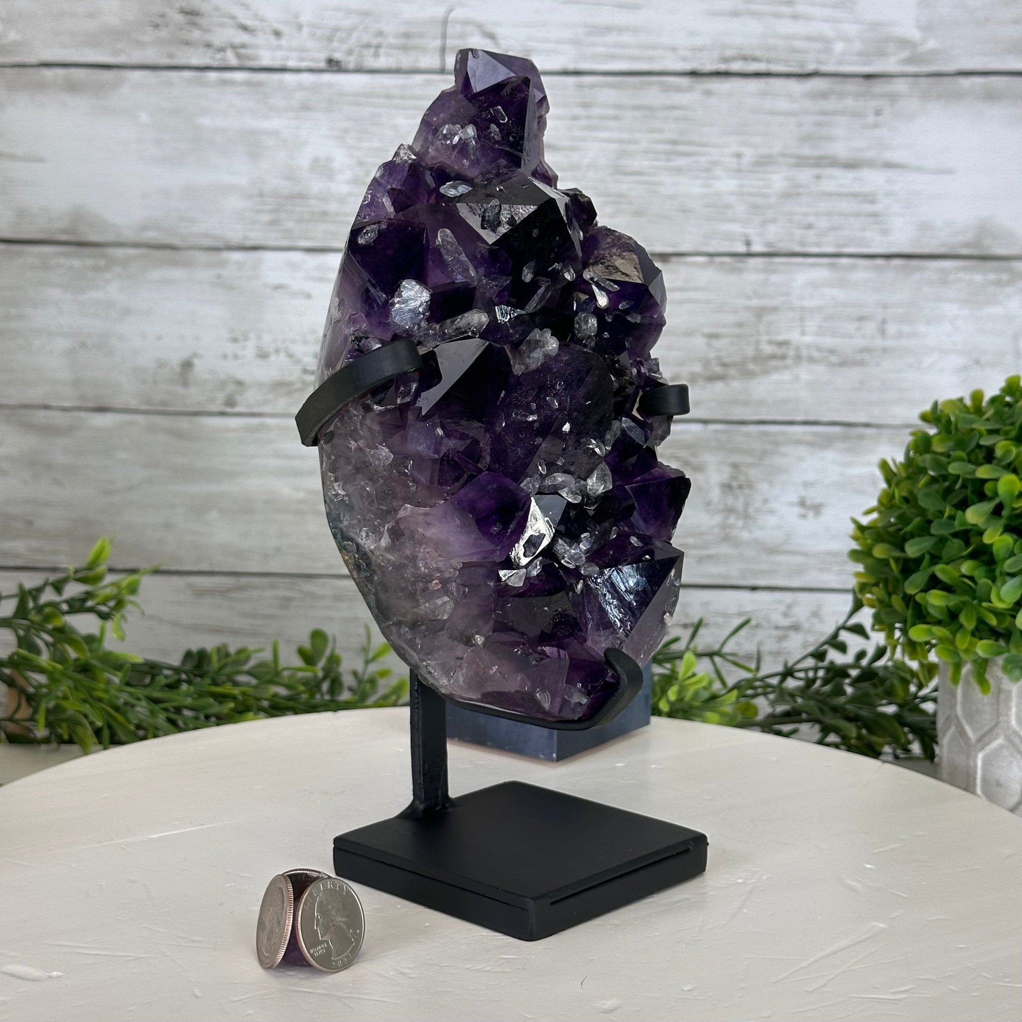 Super Quality Amethyst Cluster on a Metal Stand, 5.4 lbs & 9.5" Tall #5491-0153 - Brazil GemsBrazil GemsSuper Quality Amethyst Cluster on a Metal Stand, 5.4 lbs & 9.5" Tall #5491-0153Clusters on Fixed Bases5491-0153