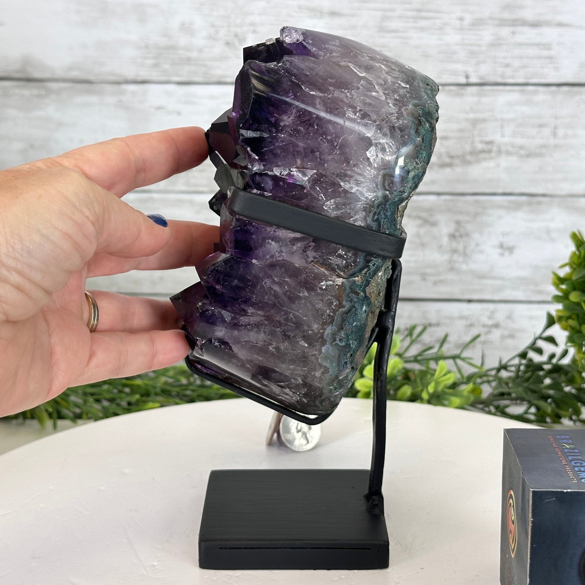 Super Quality Amethyst Cluster on a Metal Stand, 5.7 lbs & 8.5" Tall #5491-0154 - Brazil GemsBrazil GemsSuper Quality Amethyst Cluster on a Metal Stand, 5.7 lbs & 8.5" Tall #5491-0154Clusters on Fixed Bases5491-0154
