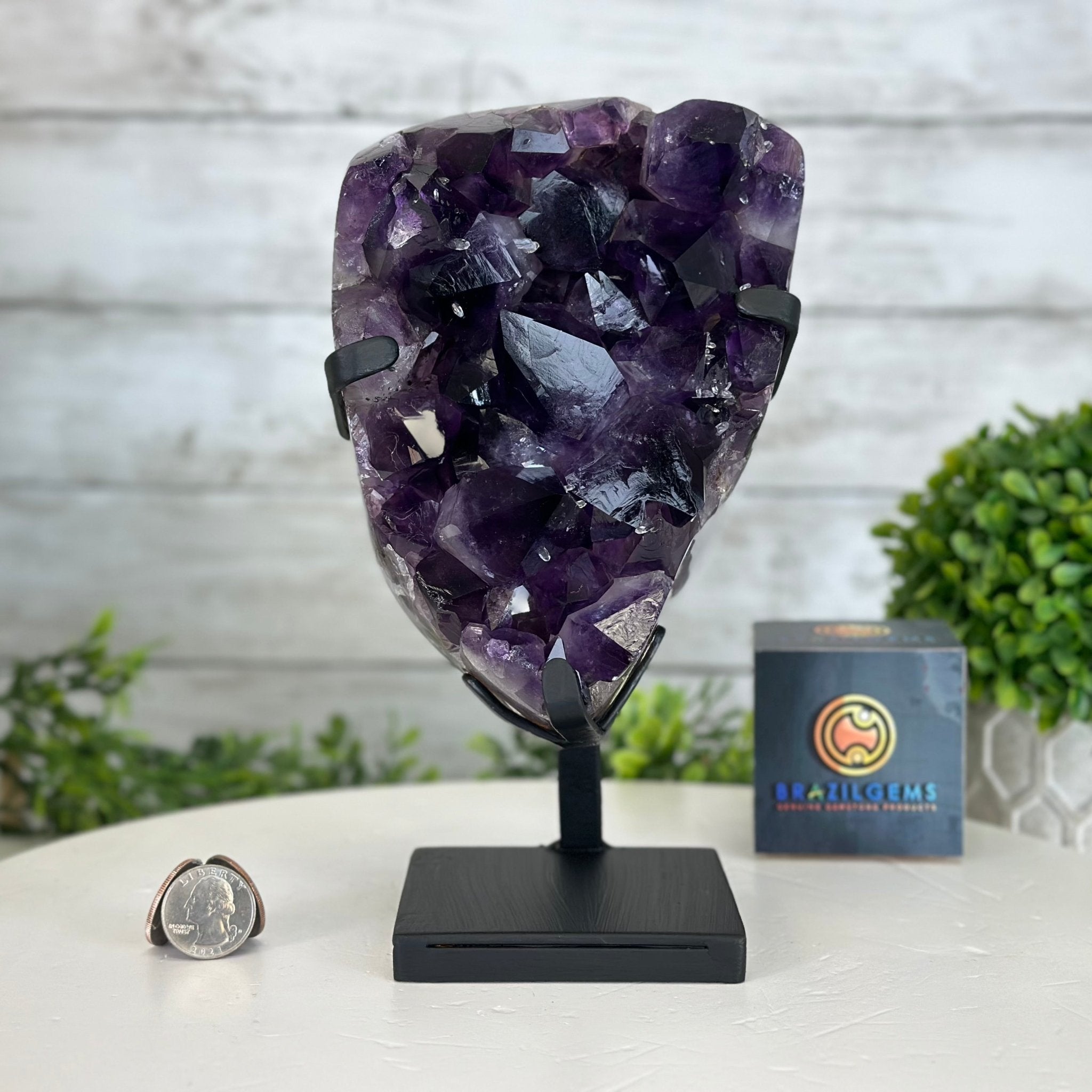 Super Quality Amethyst Cluster on a Metal Stand, 6.3 lbs & 8.8" Tall #5491-0156 - Brazil GemsBrazil GemsSuper Quality Amethyst Cluster on a Metal Stand, 6.3 lbs & 8.8" Tall #5491-0156Clusters on Fixed Bases5491-0156