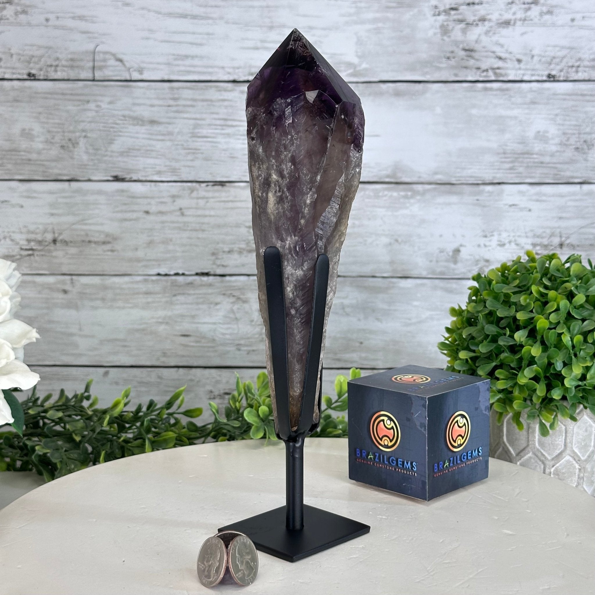 Super Quality Amethyst Wand on a Metal Stand, 1.9 lbs & 10.8" Tall #3123AM-005 - Brazil GemsBrazil GemsSuper Quality Amethyst Wand on a Metal Stand, 1.9 lbs & 10.8" Tall #3123AM-005Clusters on Fixed Bases3123AM-005