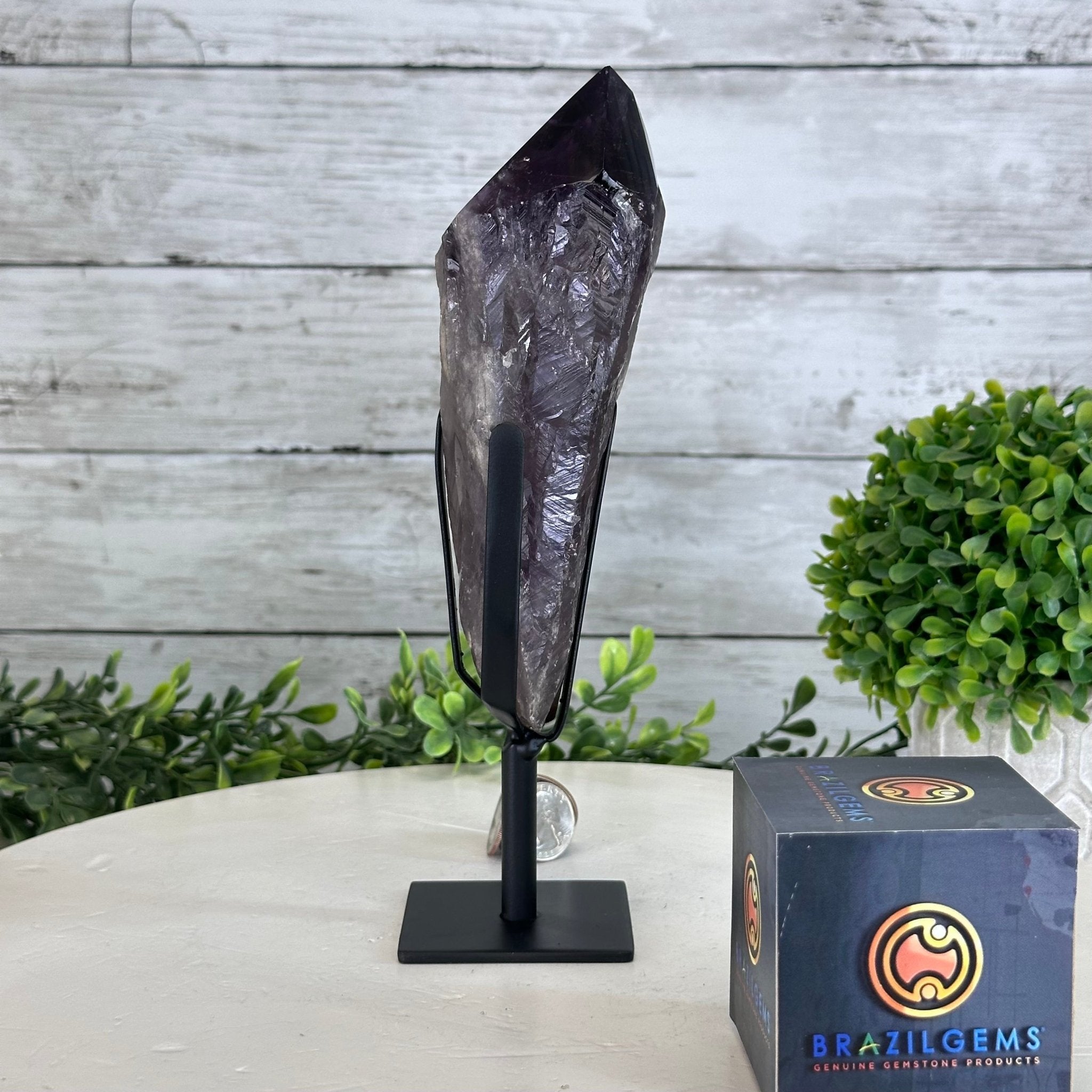Super Quality Amethyst Wand on a Metal Stand, 1.9 lbs & 9.2" Tall #3123AM-006 - Brazil GemsBrazil GemsSuper Quality Amethyst Wand on a Metal Stand, 1.9 lbs & 9.2" Tall #3123AM-006Clusters on Fixed Bases3123AM-006